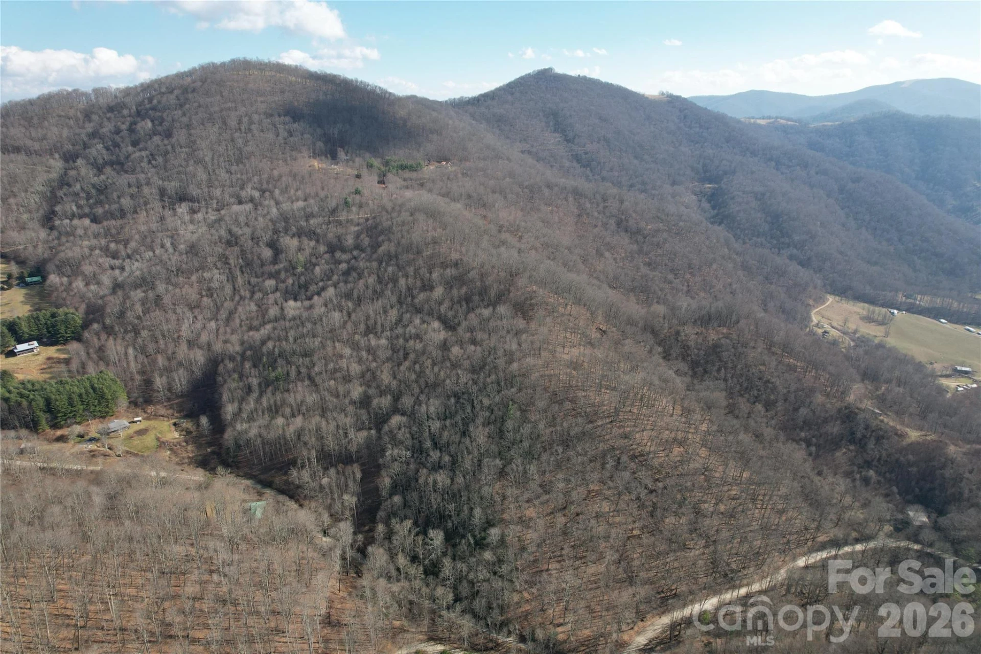 00 Mule Stomp Road - Photo 6