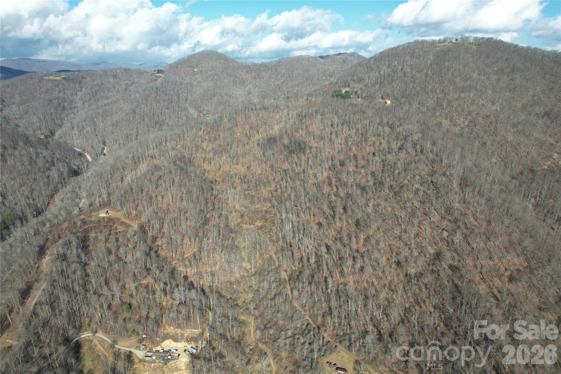 00 Mule Stomp Road - Photo 7