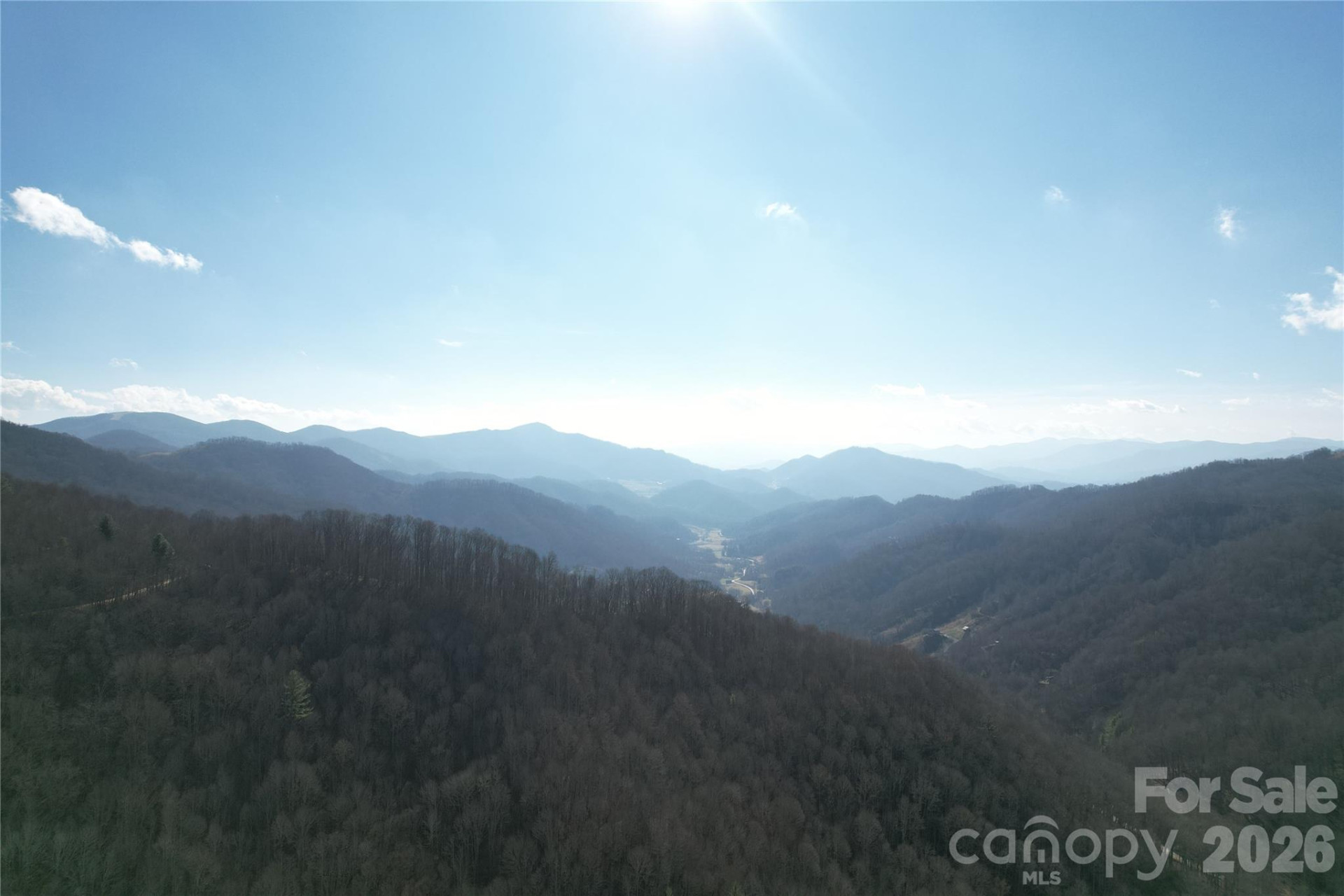 00 Mule Stomp Road - Photo 8