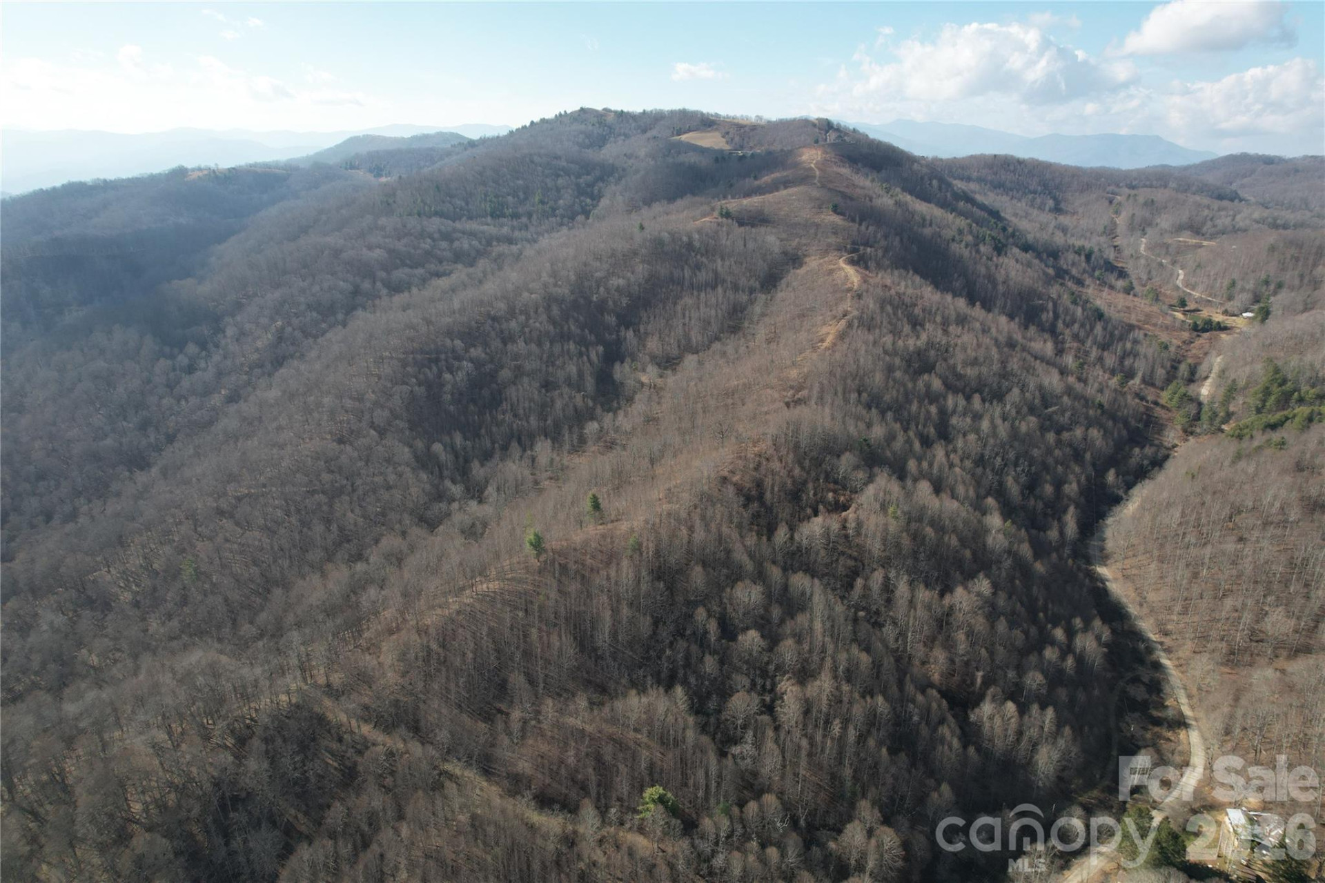 00 Mule Stomp Road - Photo 9