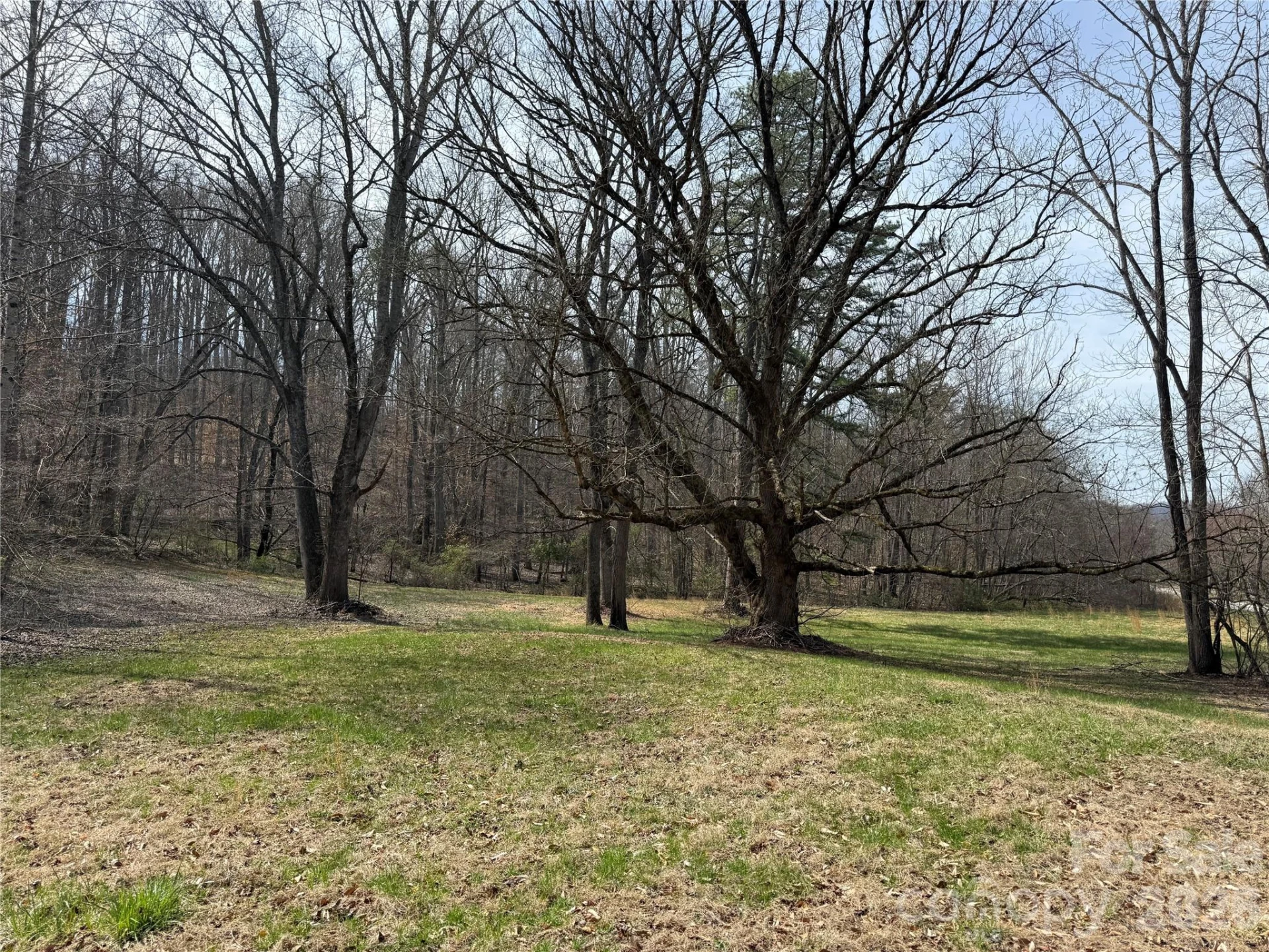 57 Fork Road