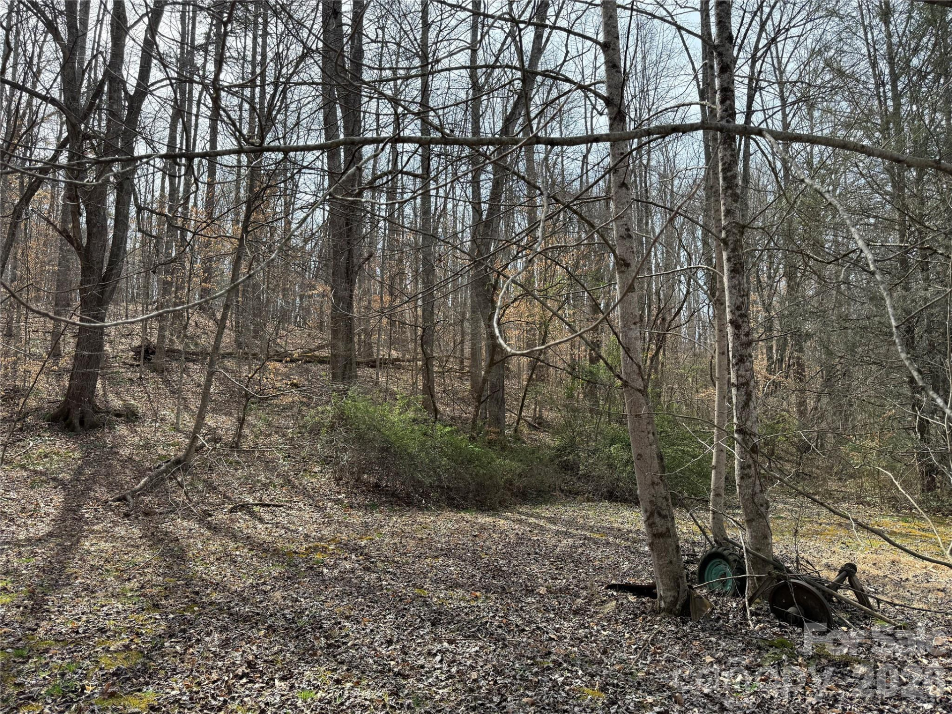 57 Fork Road - Photo 2