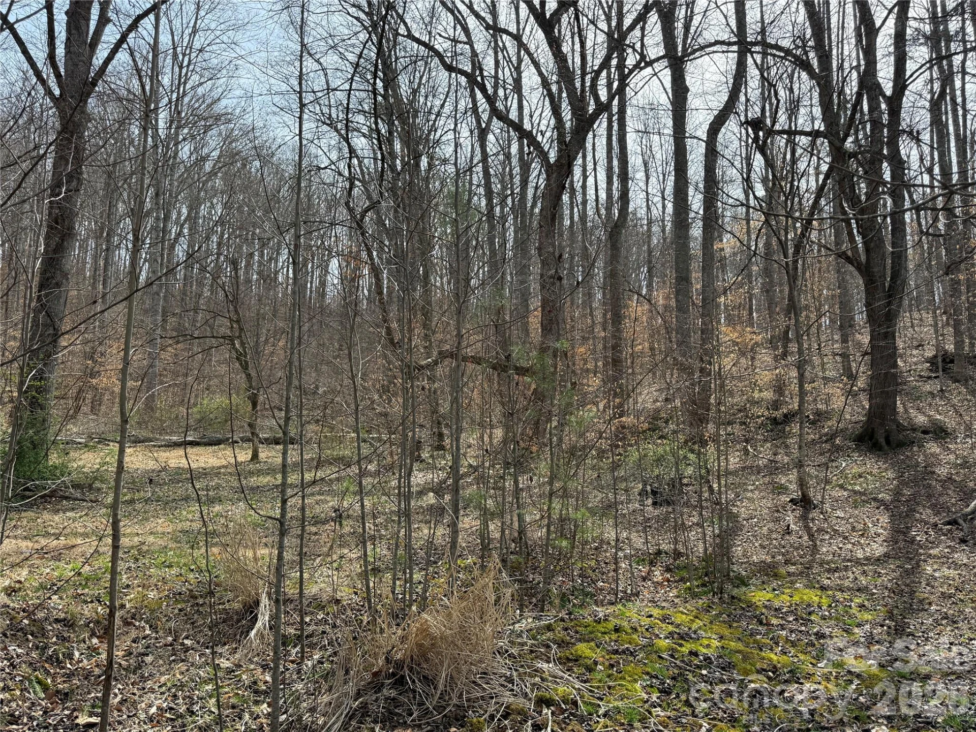 57 Fork Road - Photo 11