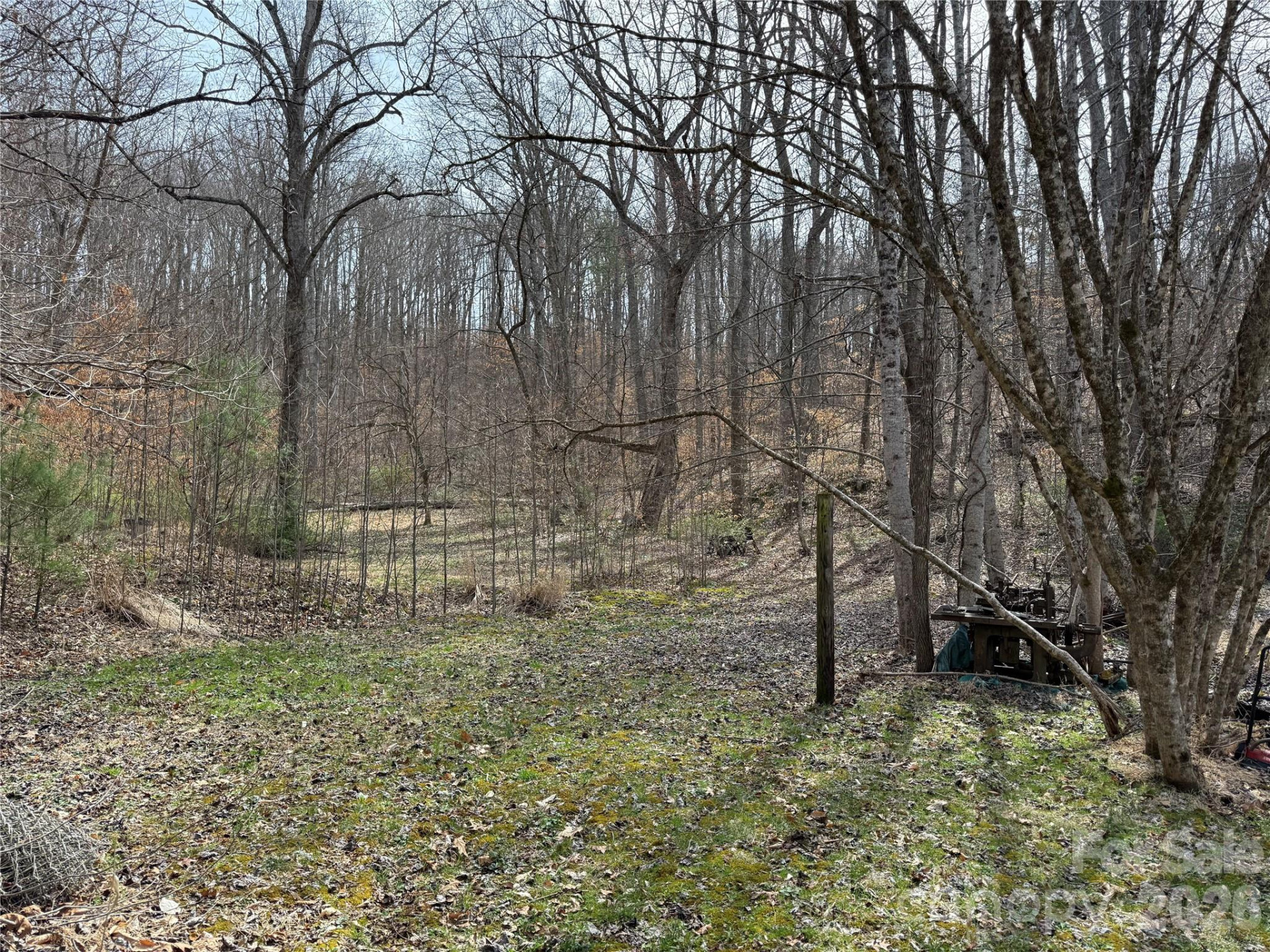 57 Fork Road - Photo 6