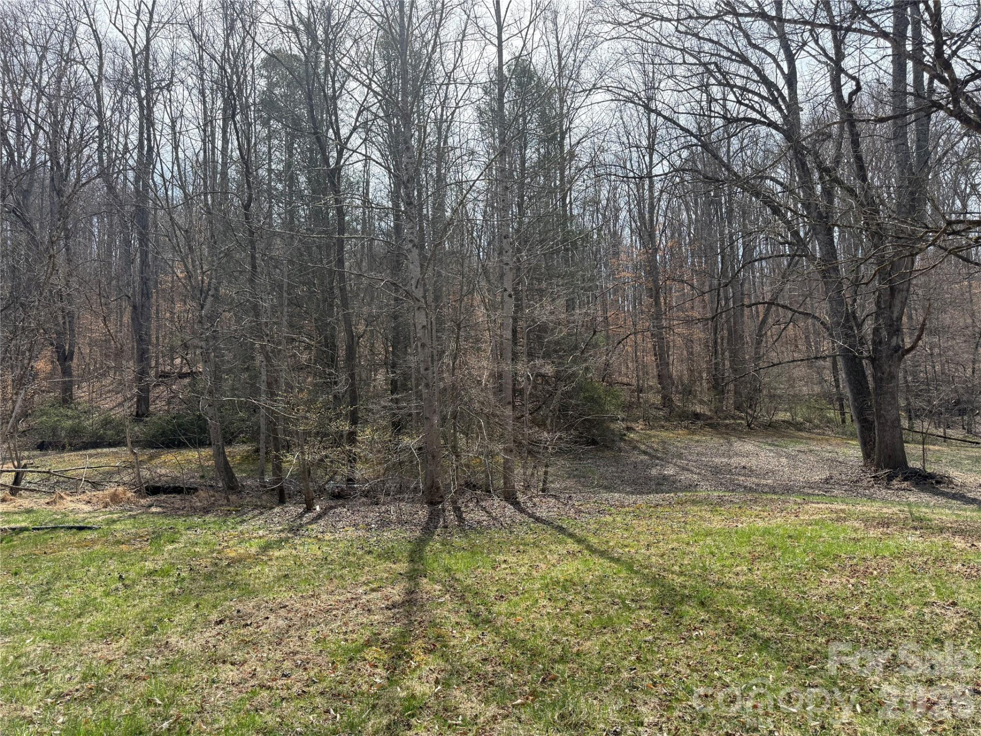 57 Fork Road - Photo 10