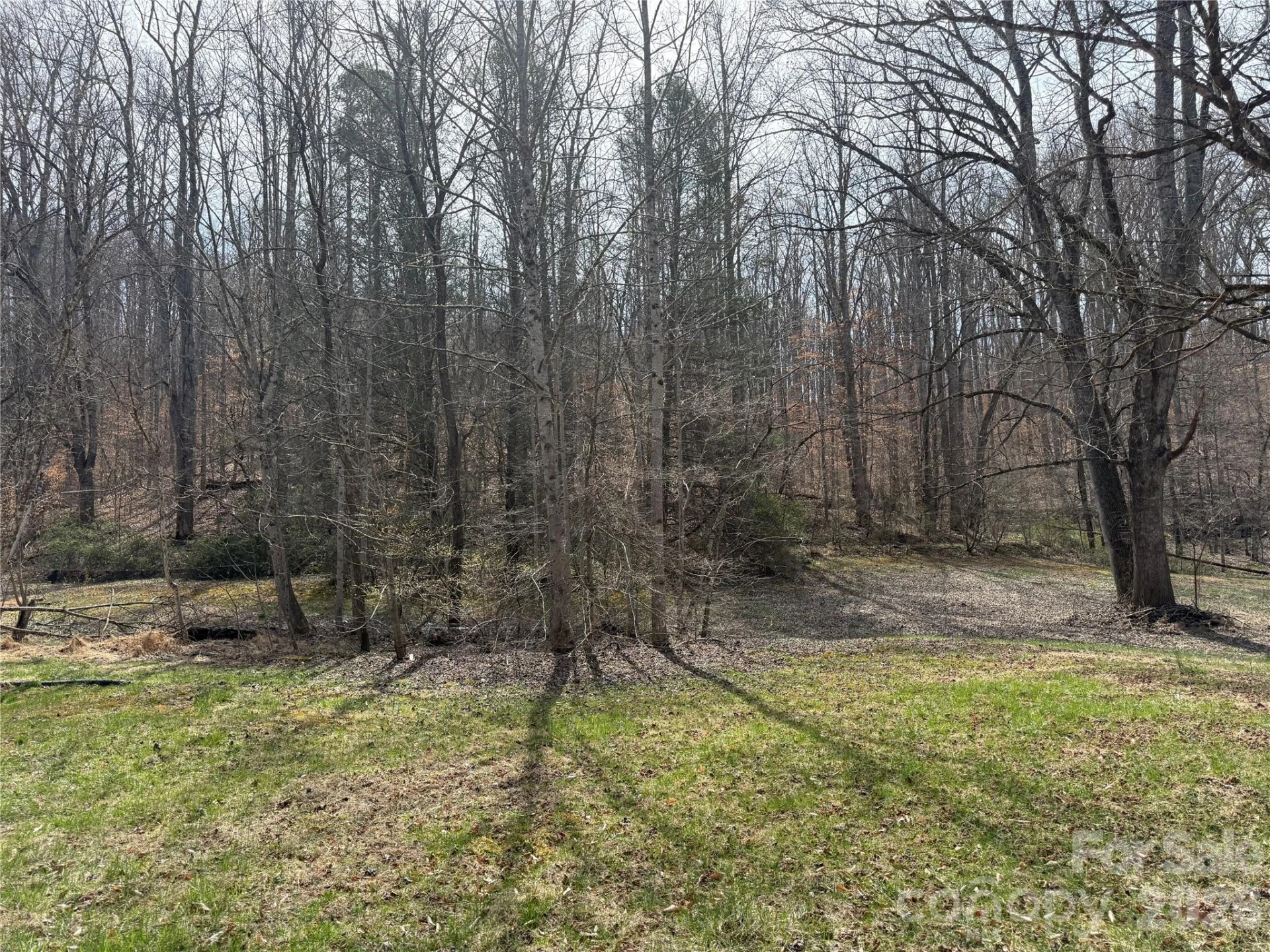 57 Fork Road - Photo 10