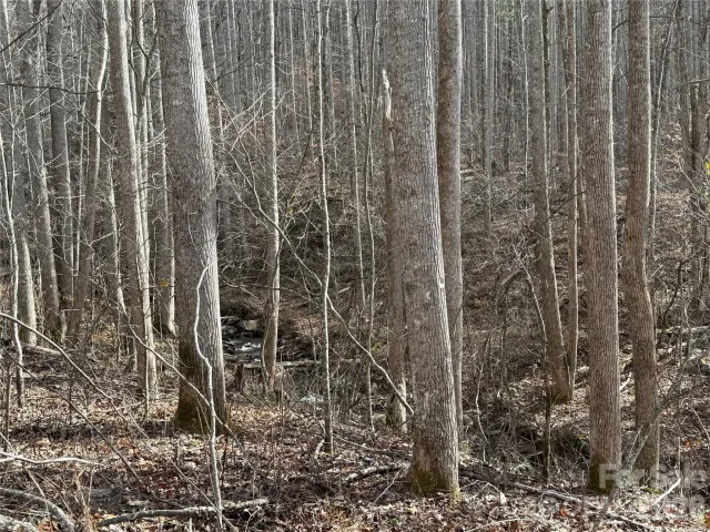 00000 Martins Creek Road, Barnardsville, NC, 28709