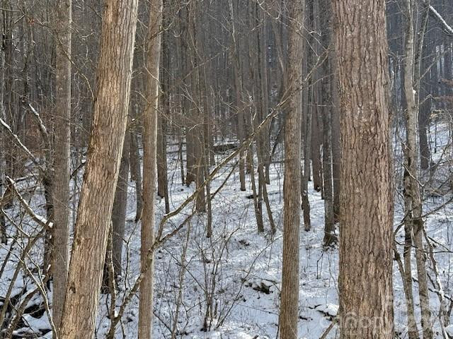 00000 Martins Creek Road - Photo 2