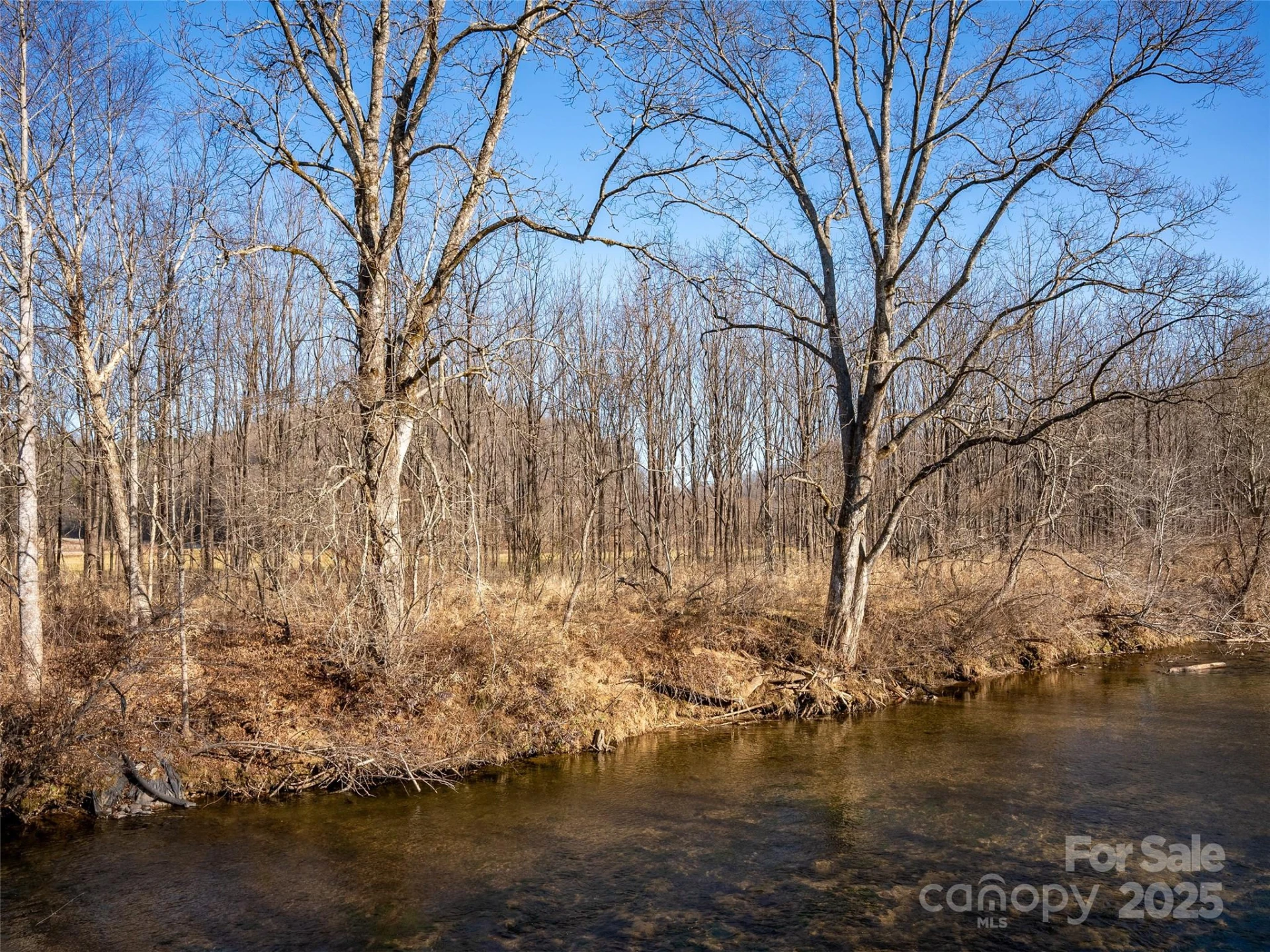 000 Lyons Mountain Road - Photo 11