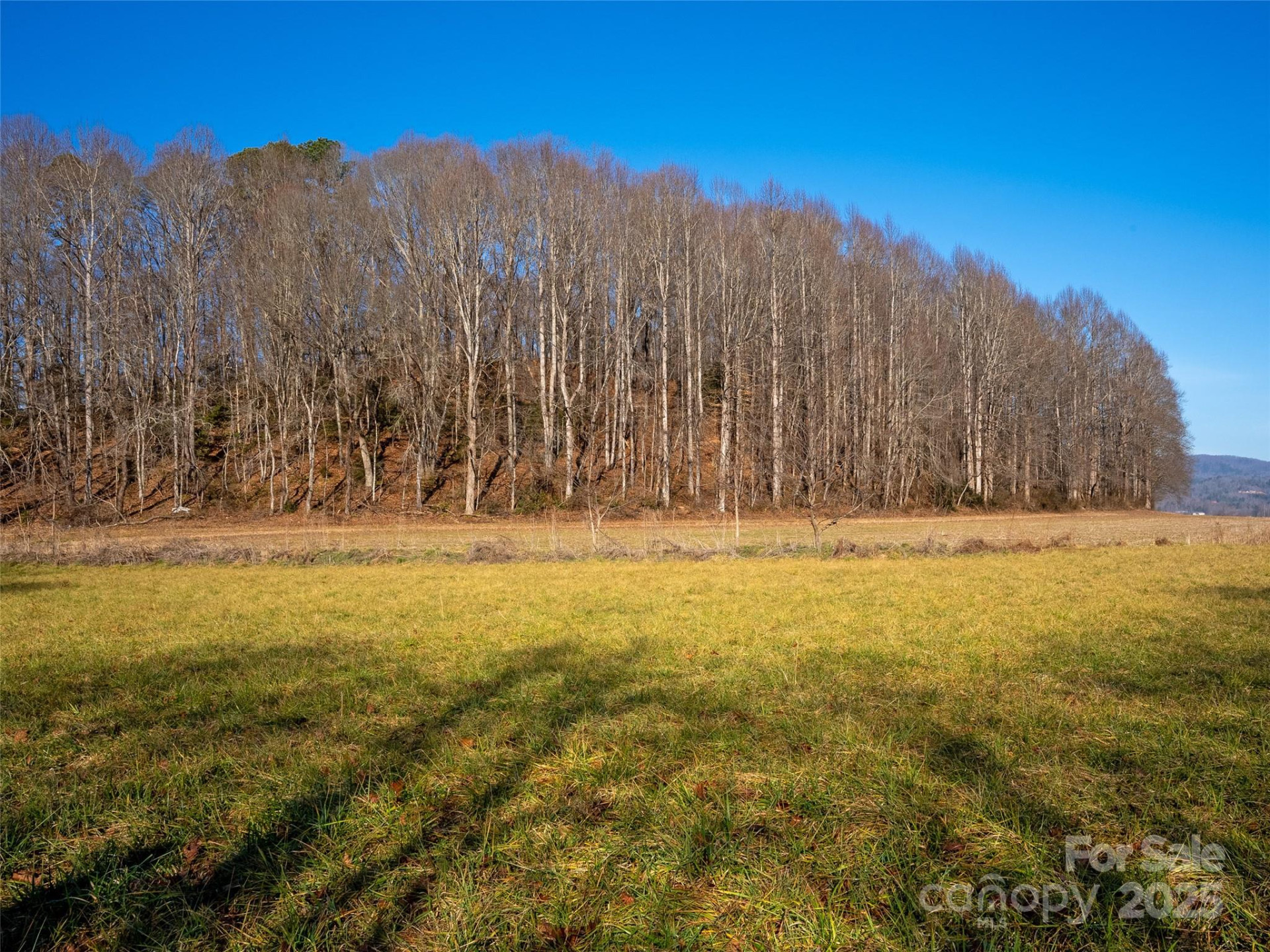 000 Lyons Mountain Road - Photo 12