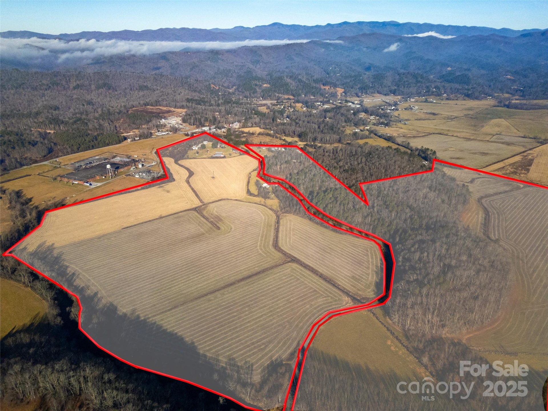 000 Lyons Mountain Road - Photo 3