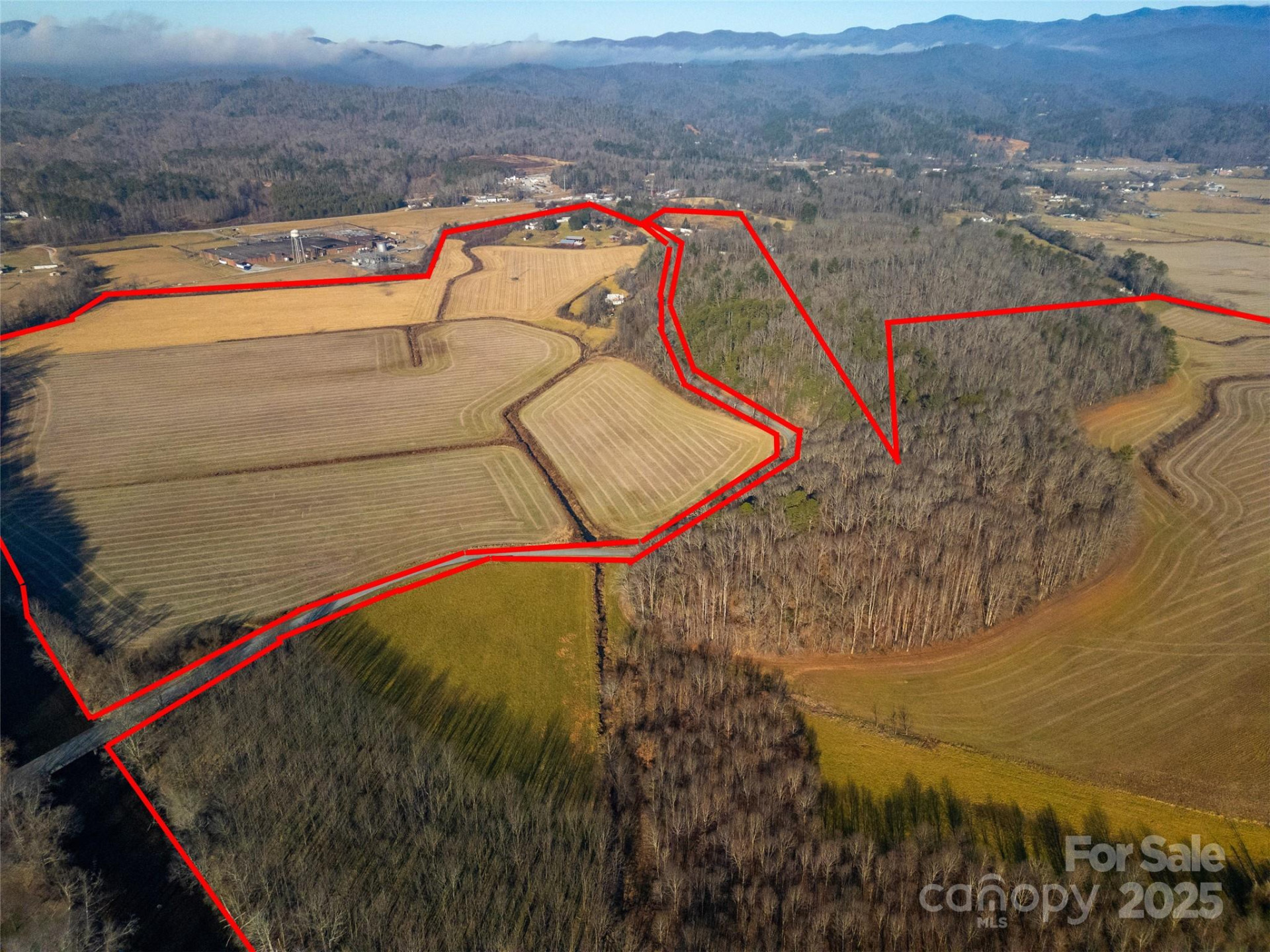 000 Lyons Mountain Road - Photo 4