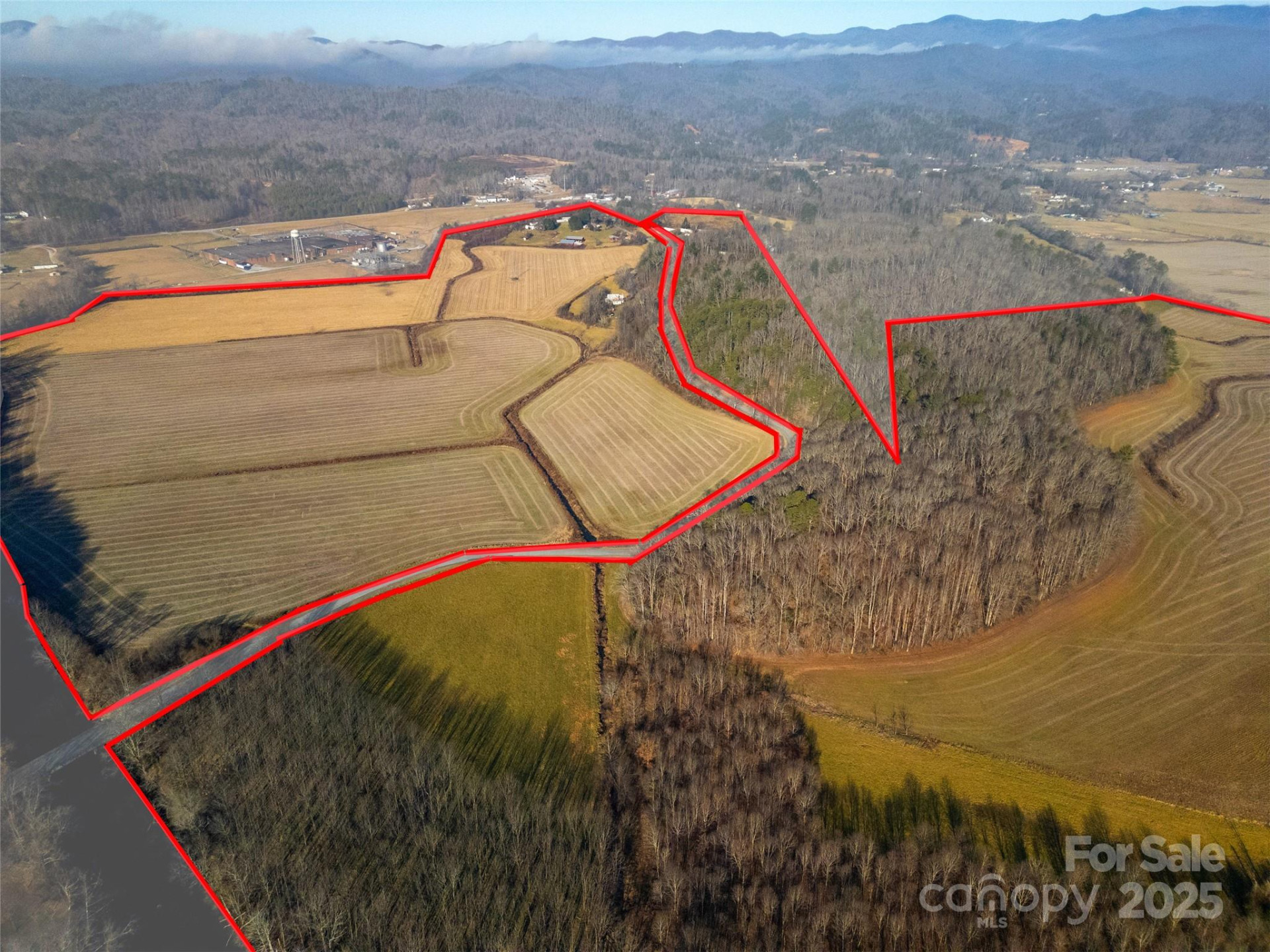 000 Lyons Mountain Road - Photo 5