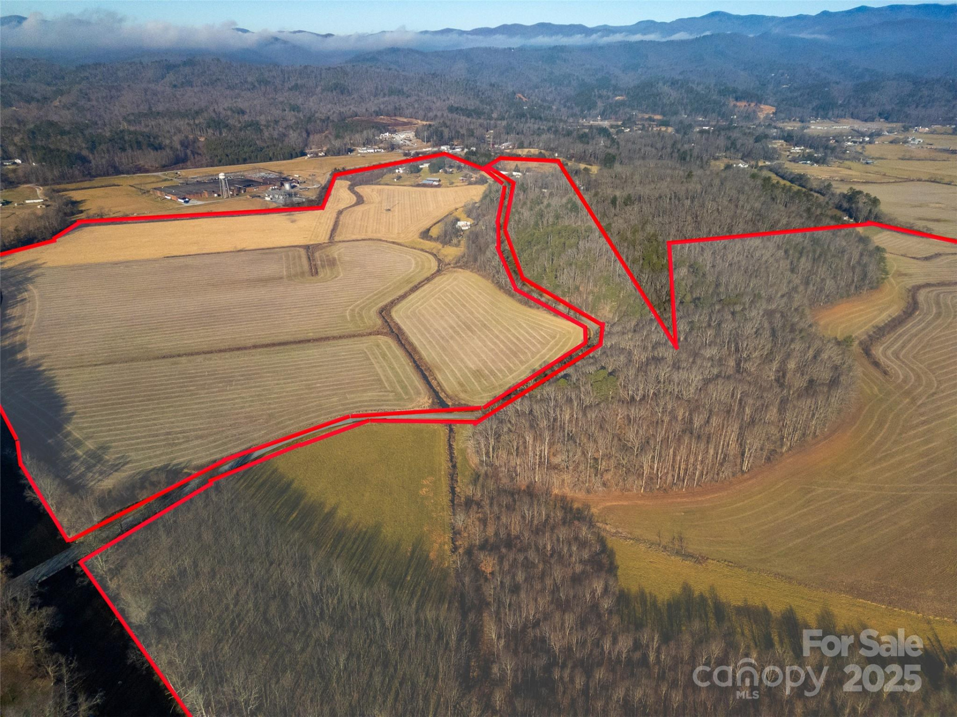 000 Lyons Mountain Road - Photo 6