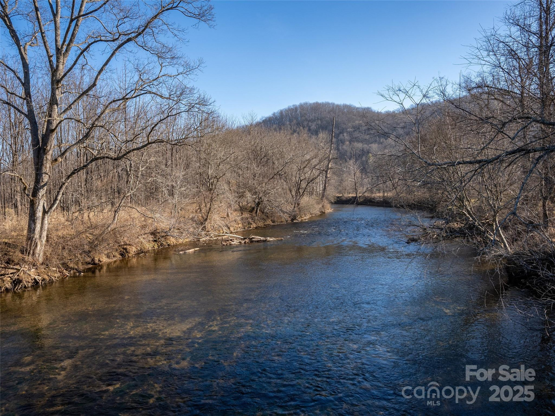 000 Lyons Mountain Road - Photo 10