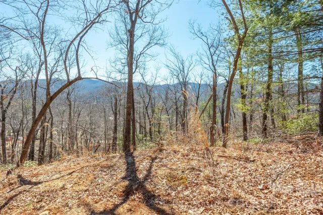 107 Bartram Way, Black Mountain, NC, 28711