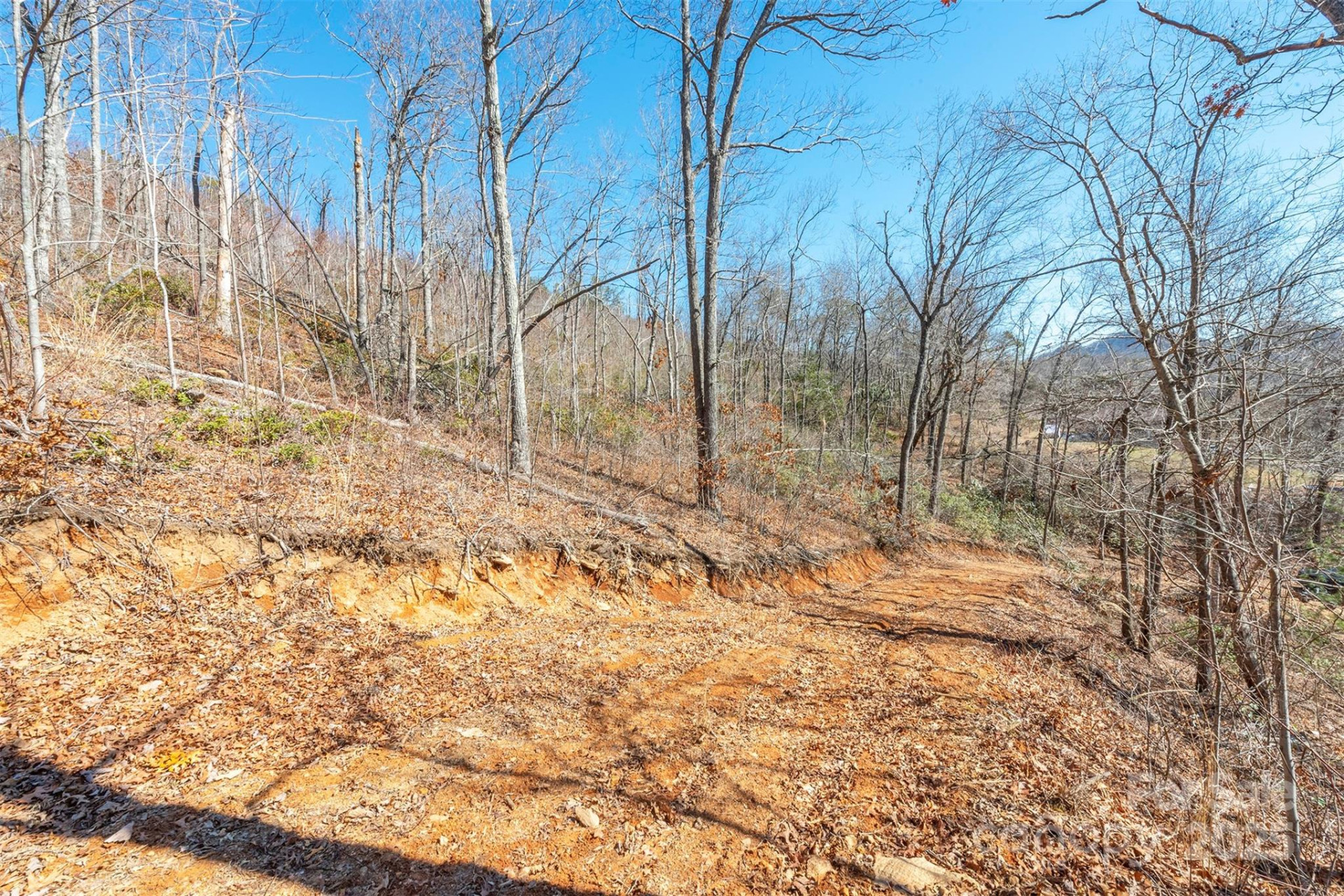 107 Bartram Way - Photo 4