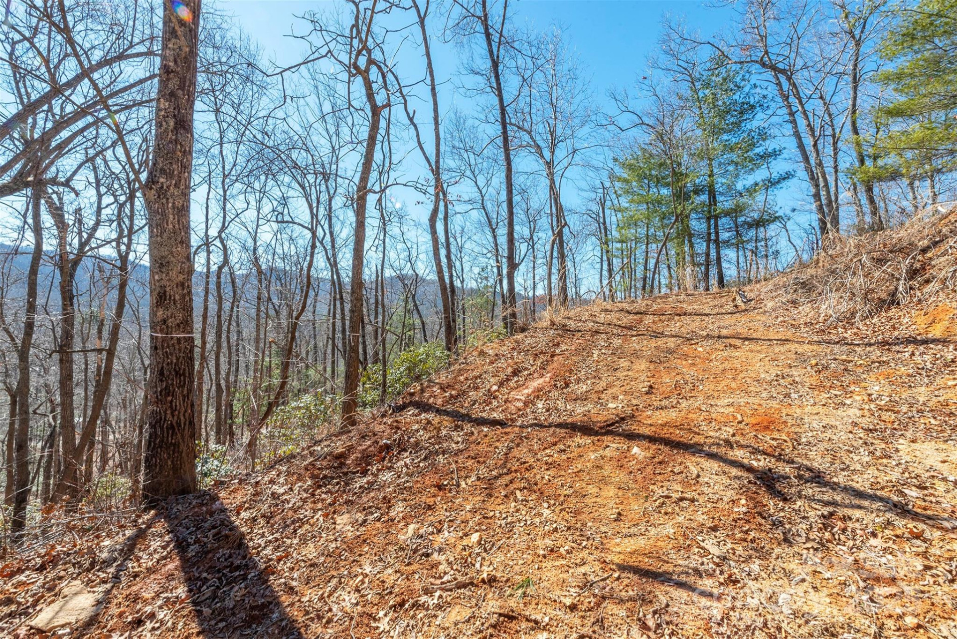 107 Bartram Way - Photo 7