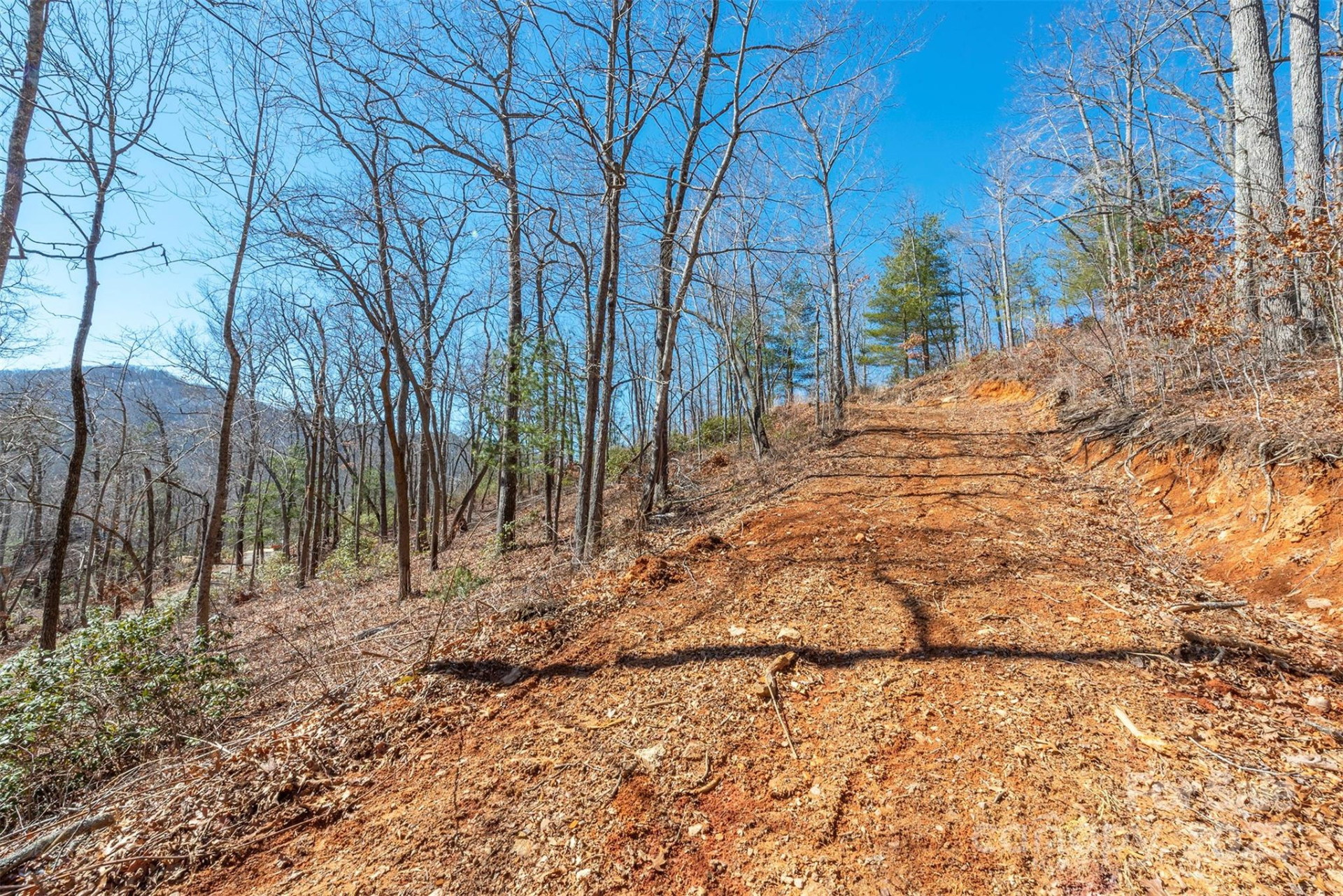 107 Bartram Way - Photo 8