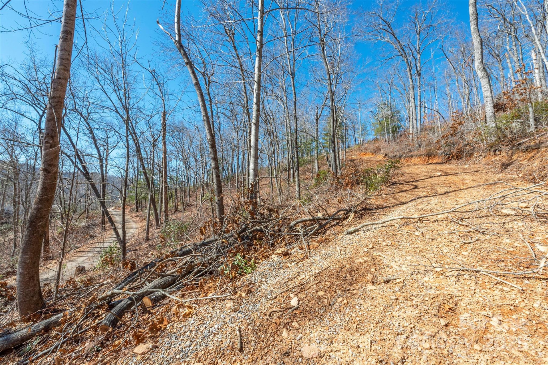 107 Bartram Way - Photo 9