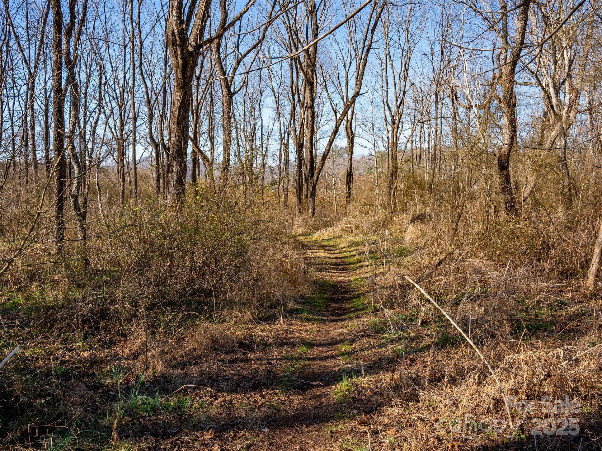 000 Old Rosman Highway - Photo 7
