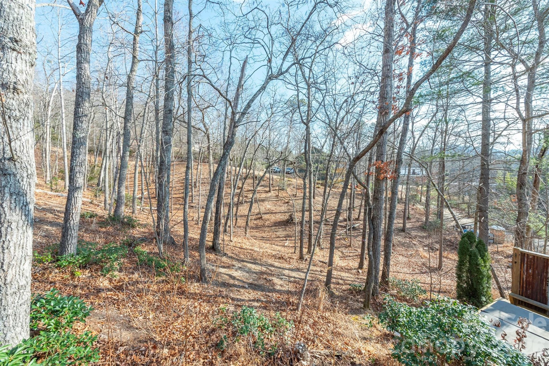 115 Bartram Way - Photo 44
