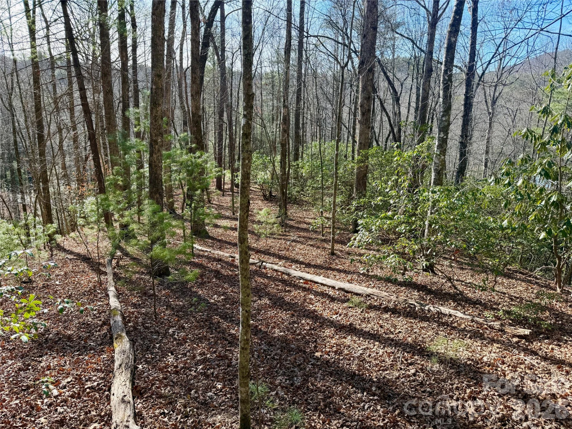Lot 48 Fox Den Road - Photo 2