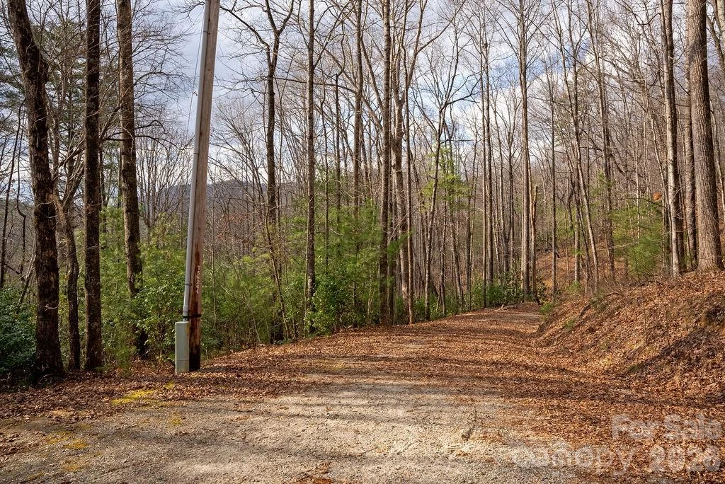 Lot 48 Fox Den Road - Photo 3