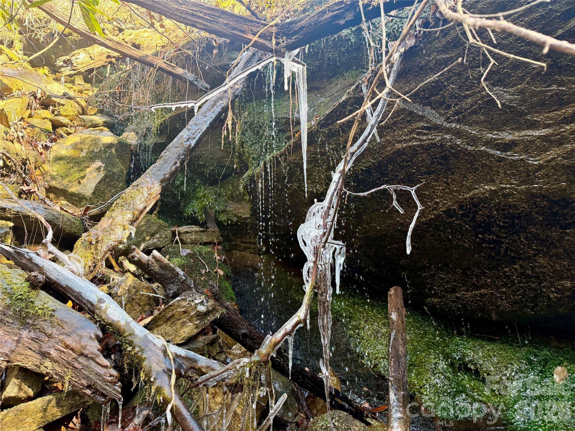 Lot 48 Fox Den Road - Photo 4