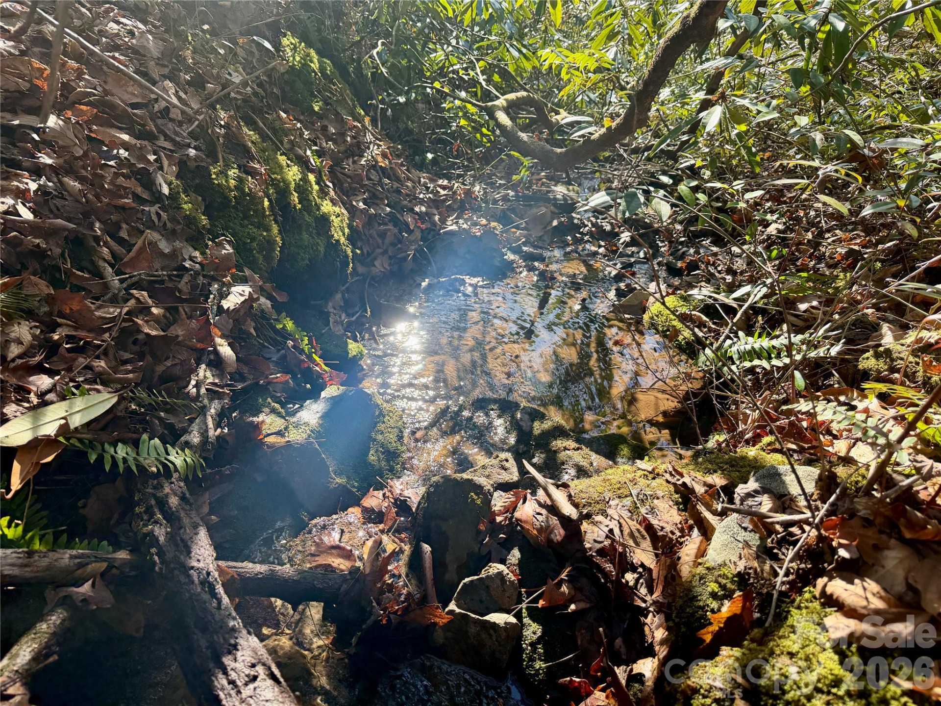 Lot 48 Fox Den Road - Photo 7