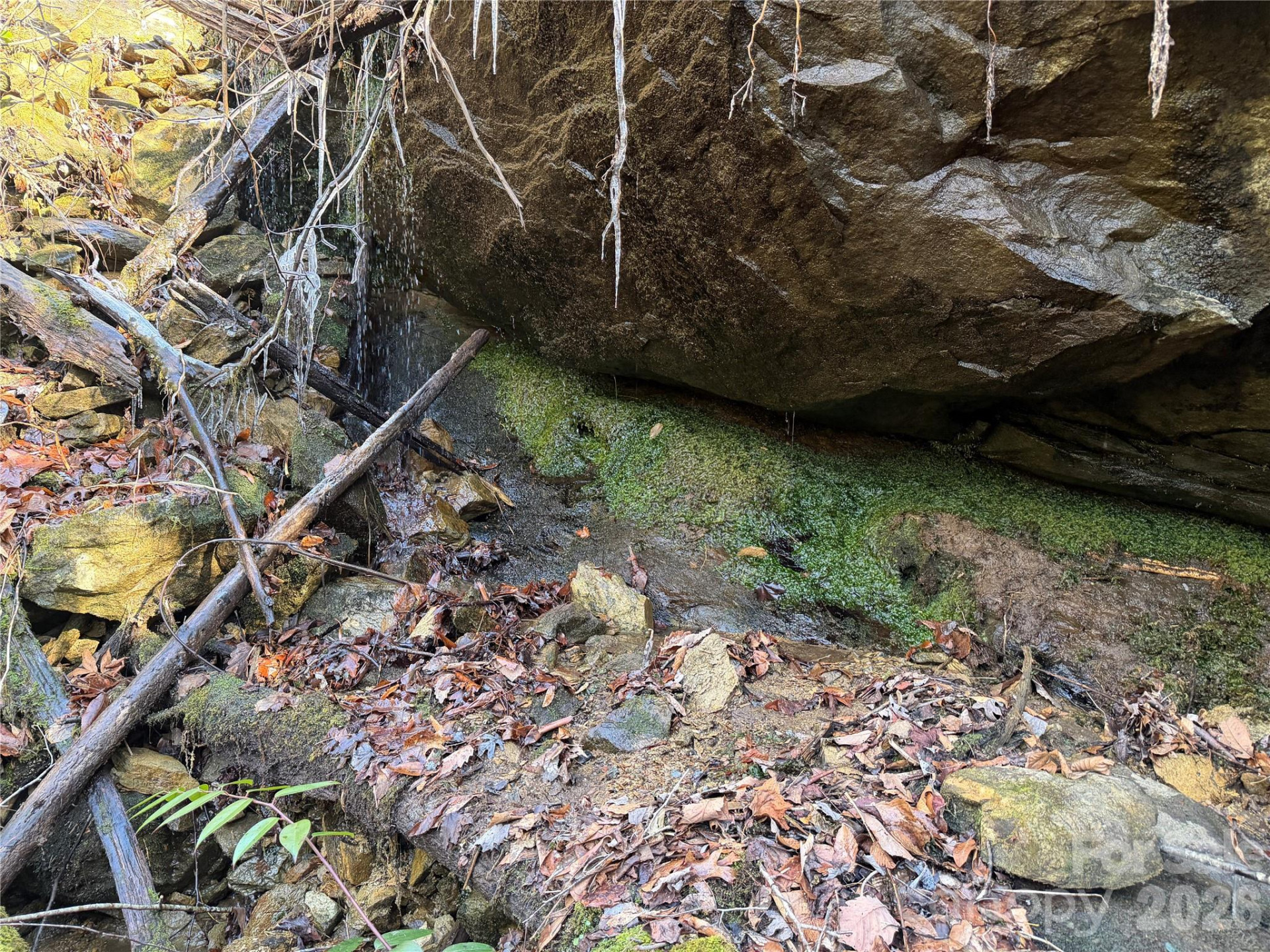 Lot 48 Fox Den Road - Photo 9