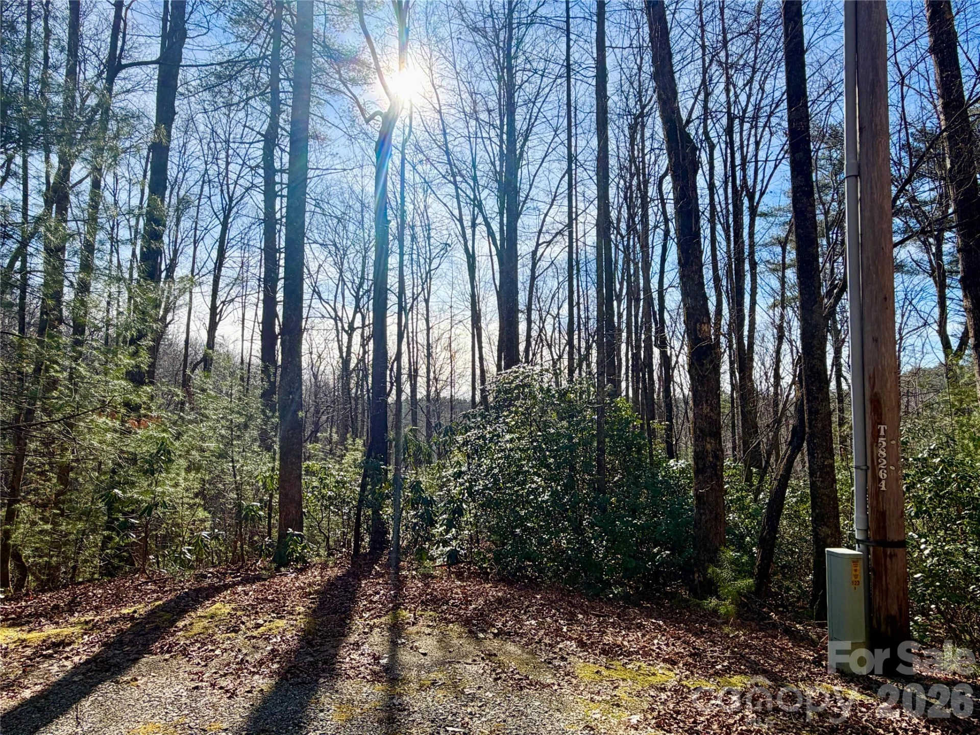 Lot 48 Fox Den Road - Photo 10