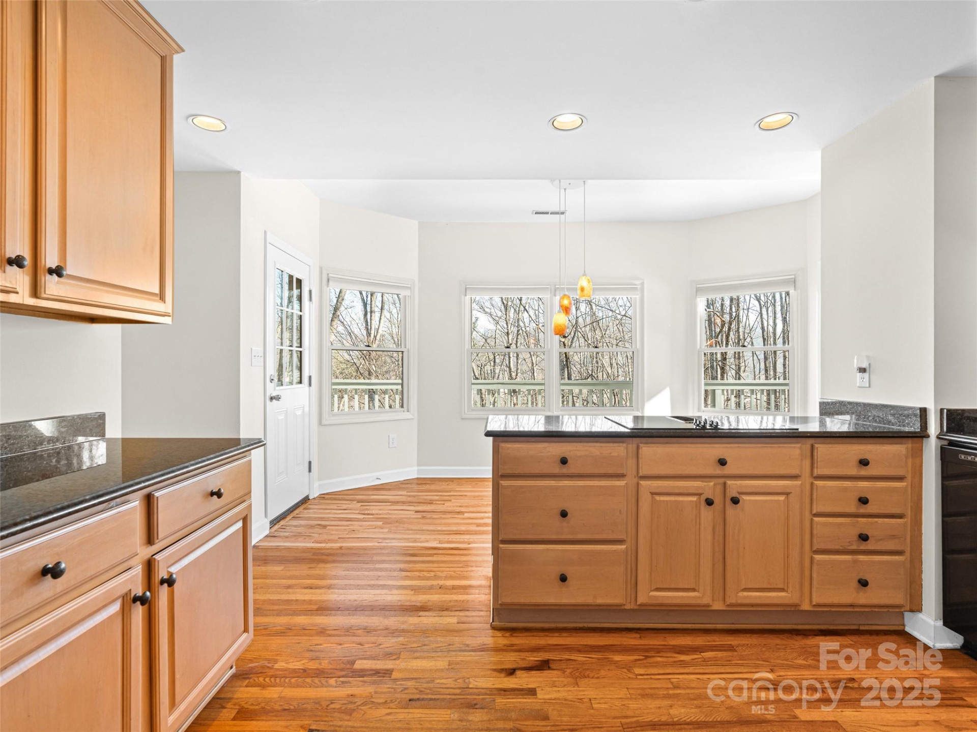 214 Blake Mountain Circle - Photo 12