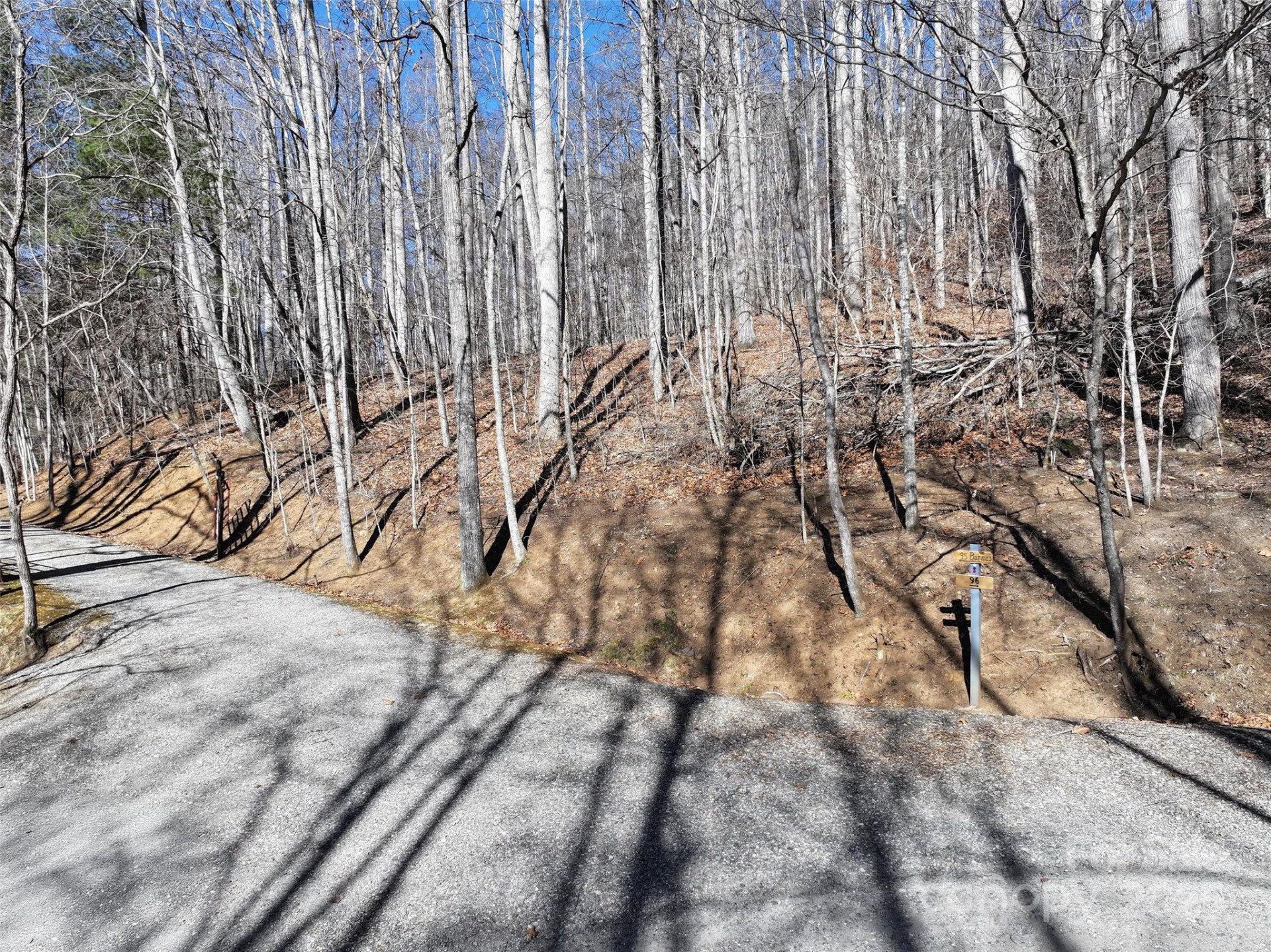 Lot 22 Top Drop Lane - Photo 2