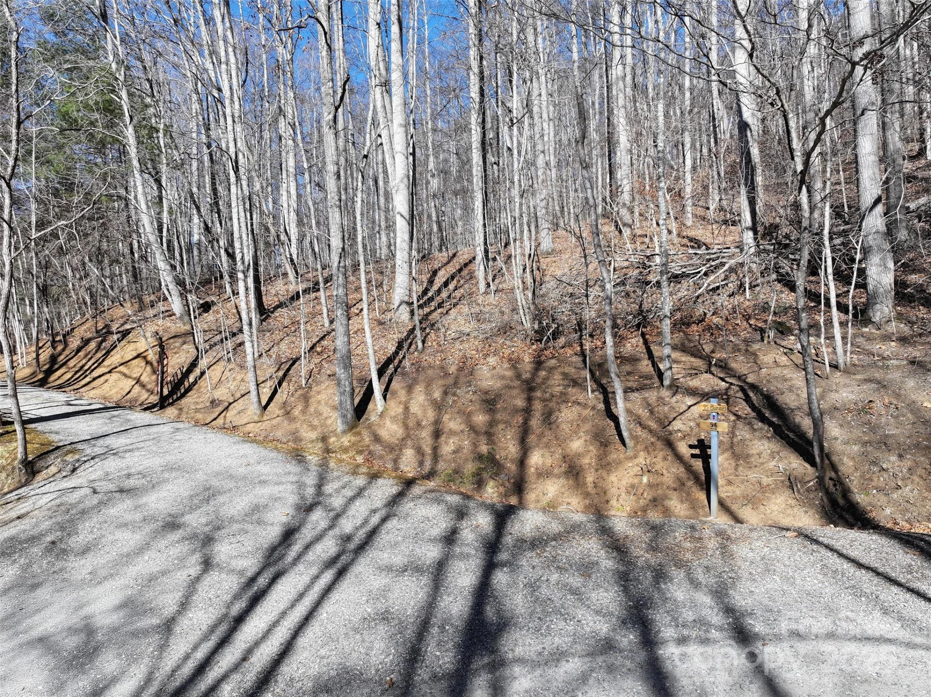 Lot 22 Top Drop Lane - Photo 2