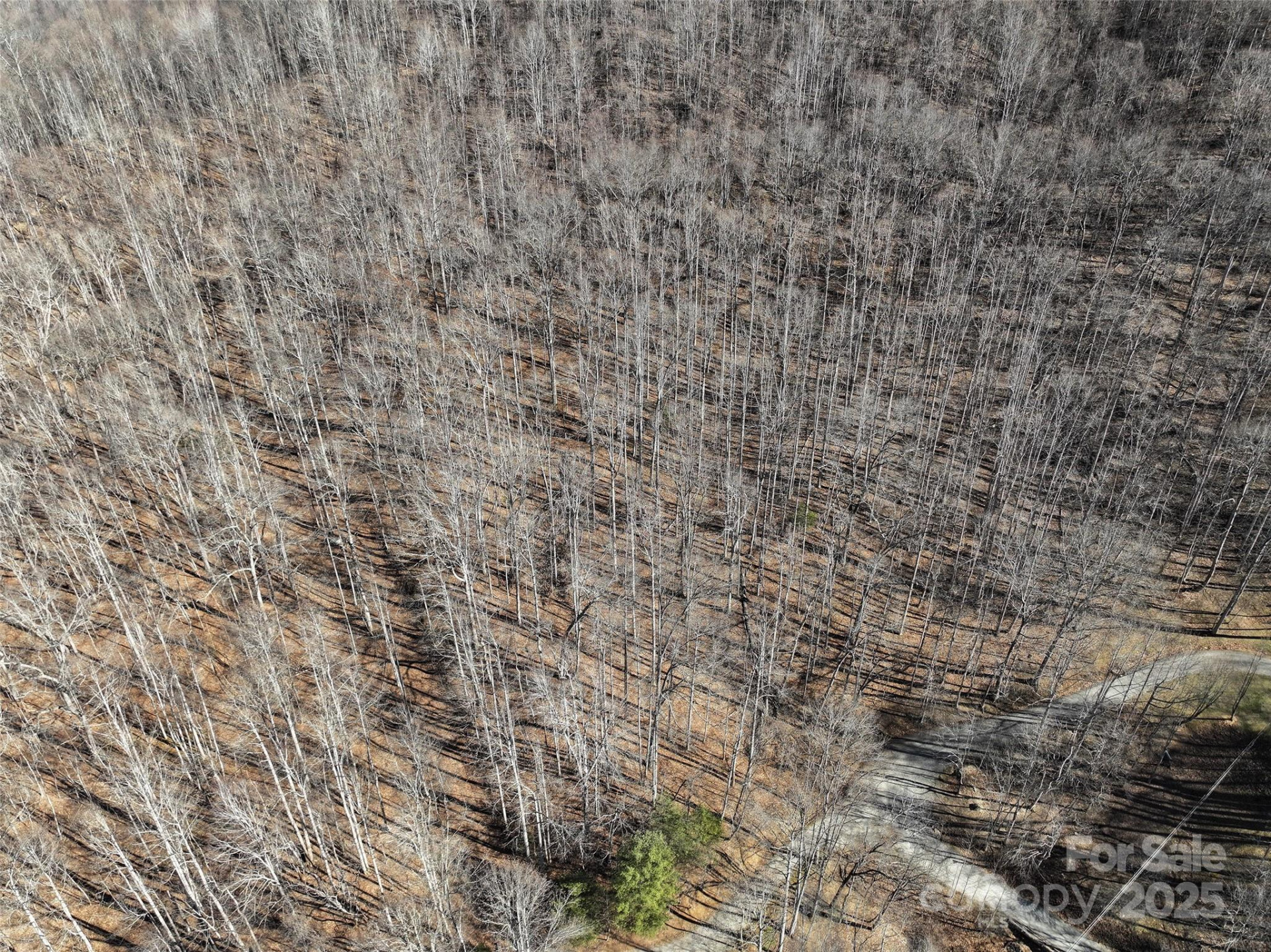 Lot 22 Top Drop Lane - Photo 11