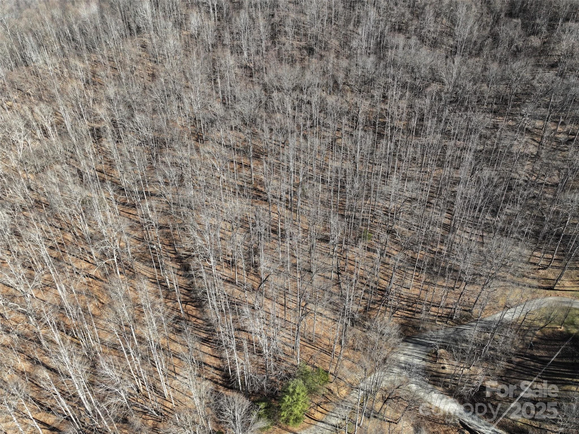 Lot 22 Top Drop Lane - Photo 11