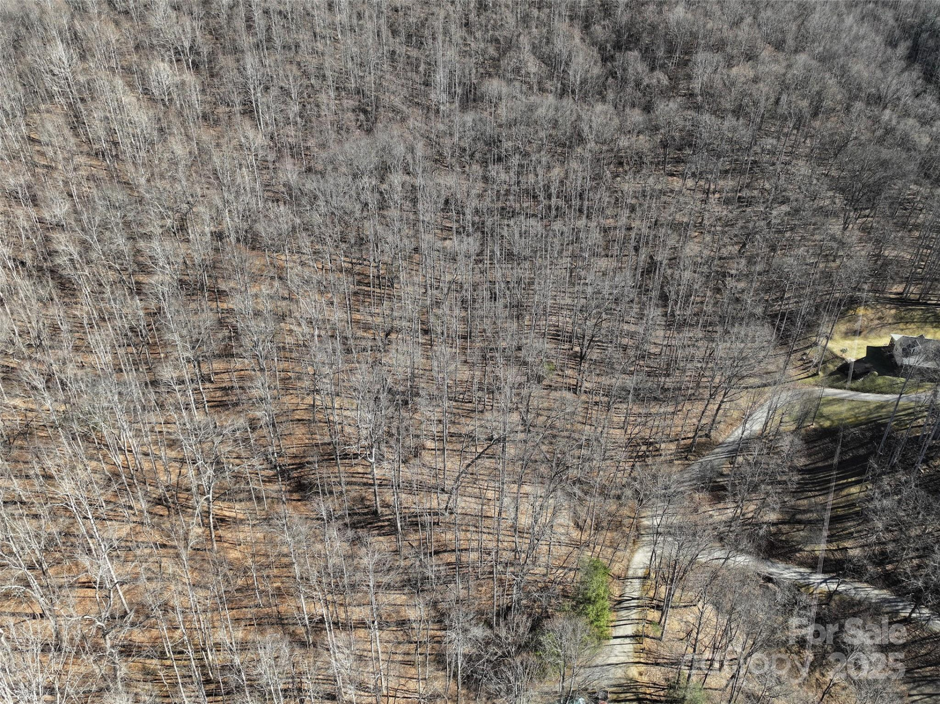 Lot 22 Top Drop Lane - Photo 12