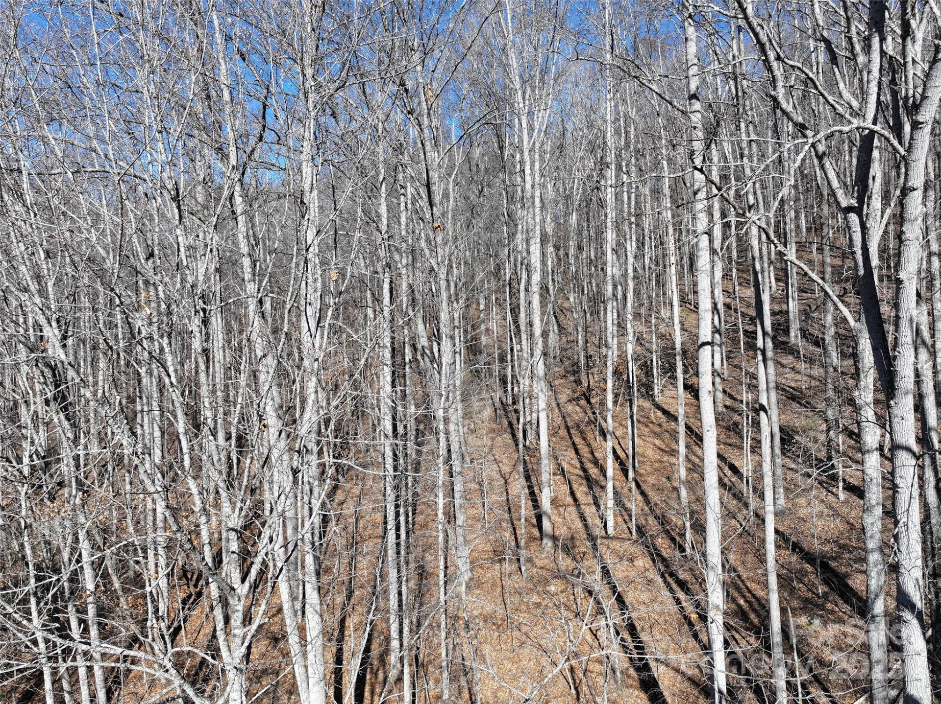 Lot 22 Top Drop Lane - Photo 13