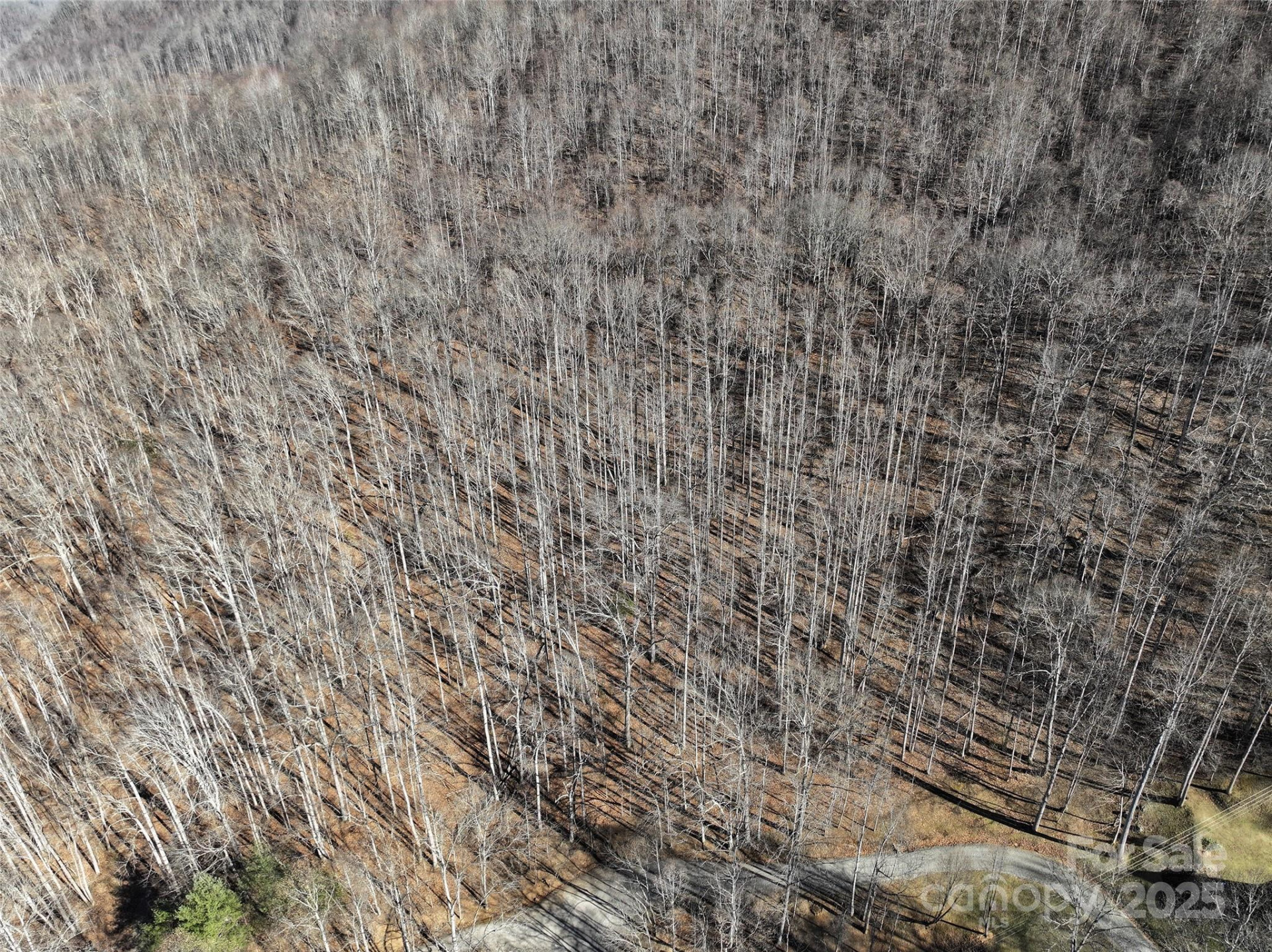 Lot 22 Top Drop Lane - Photo 14