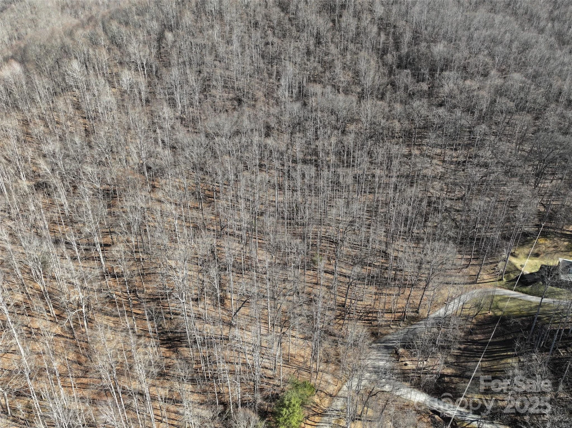 Lot 22 Top Drop Lane - Photo 15
