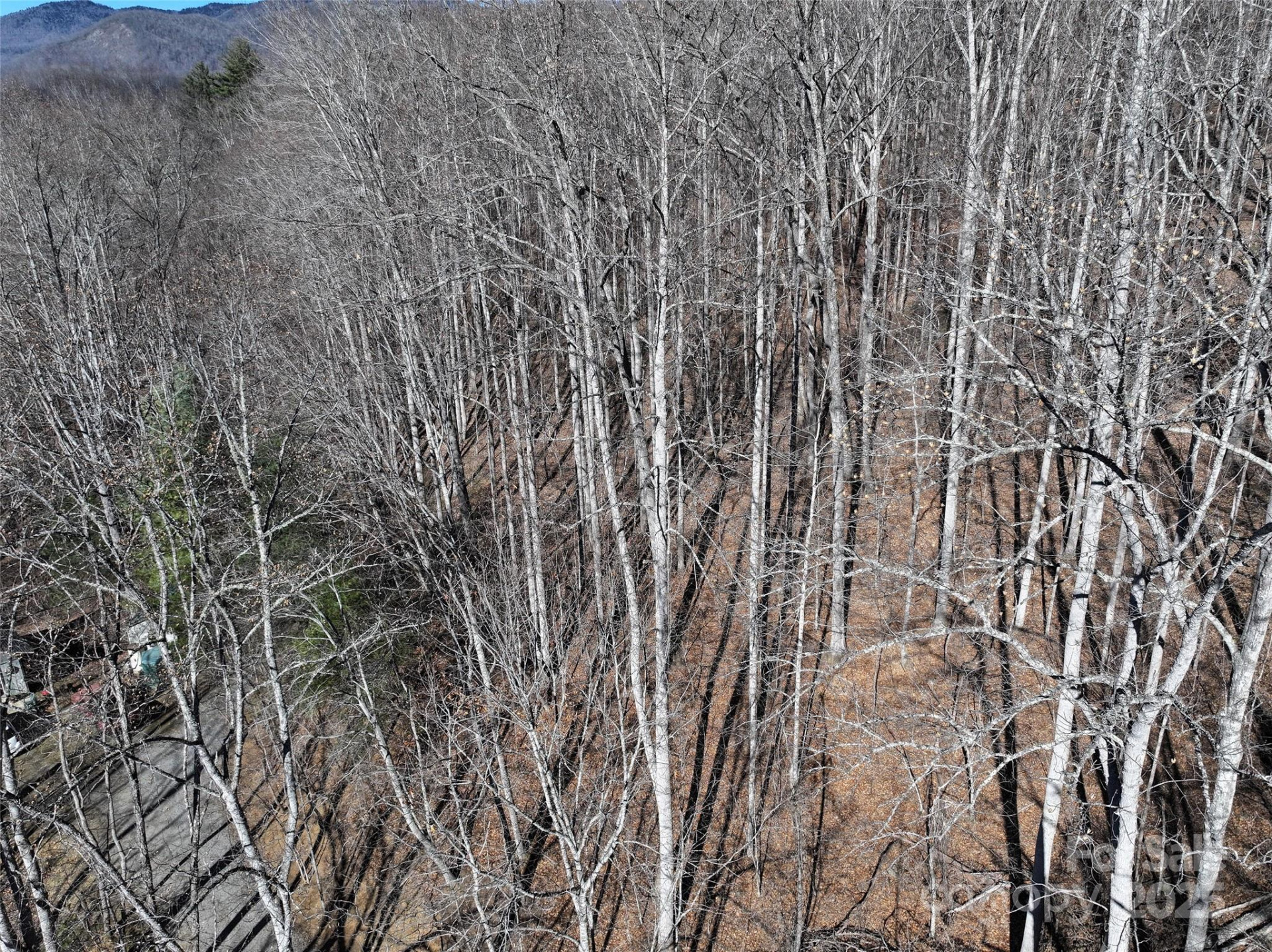 Lot 22 Top Drop Lane - Photo 16