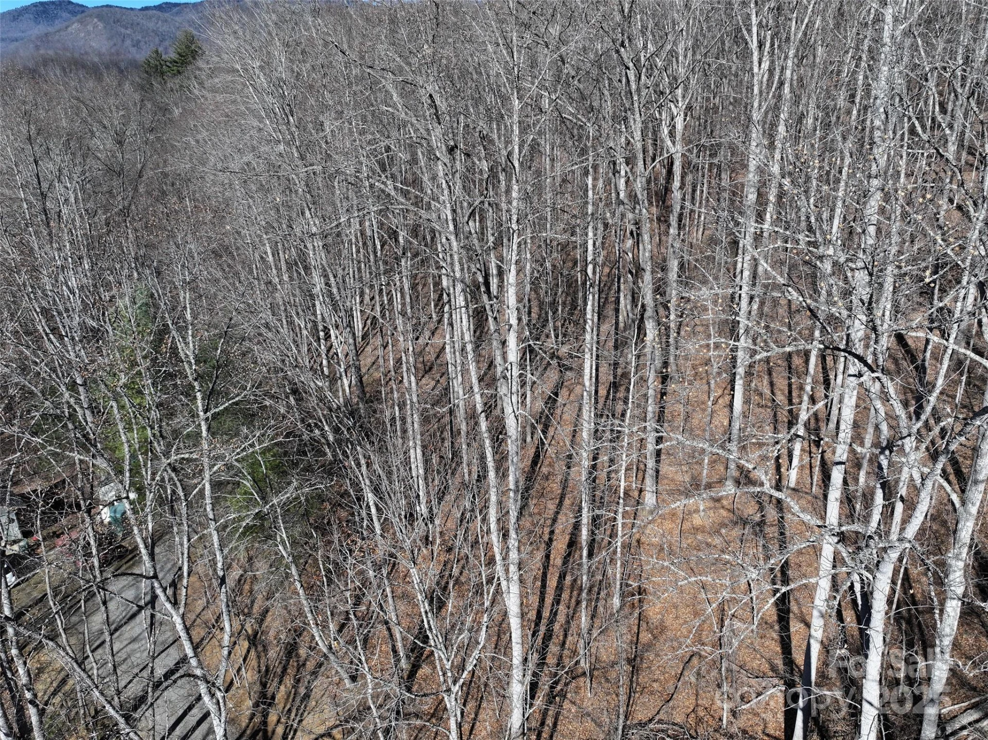 Lot 22 Top Drop Lane - Photo 16