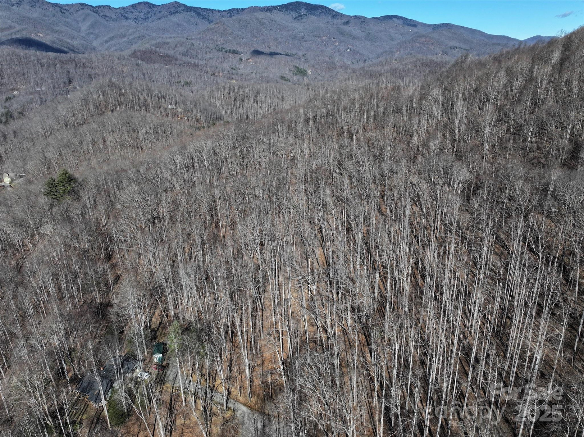 Lot 22 Top Drop Lane - Photo 17