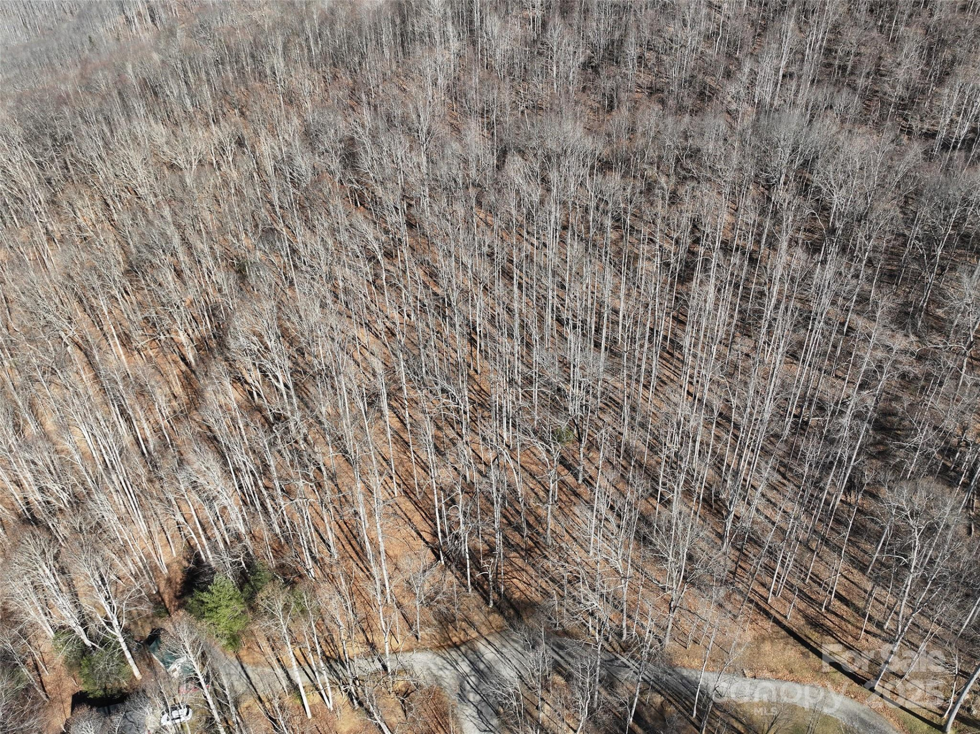 Lot 22 Top Drop Lane - Photo 18