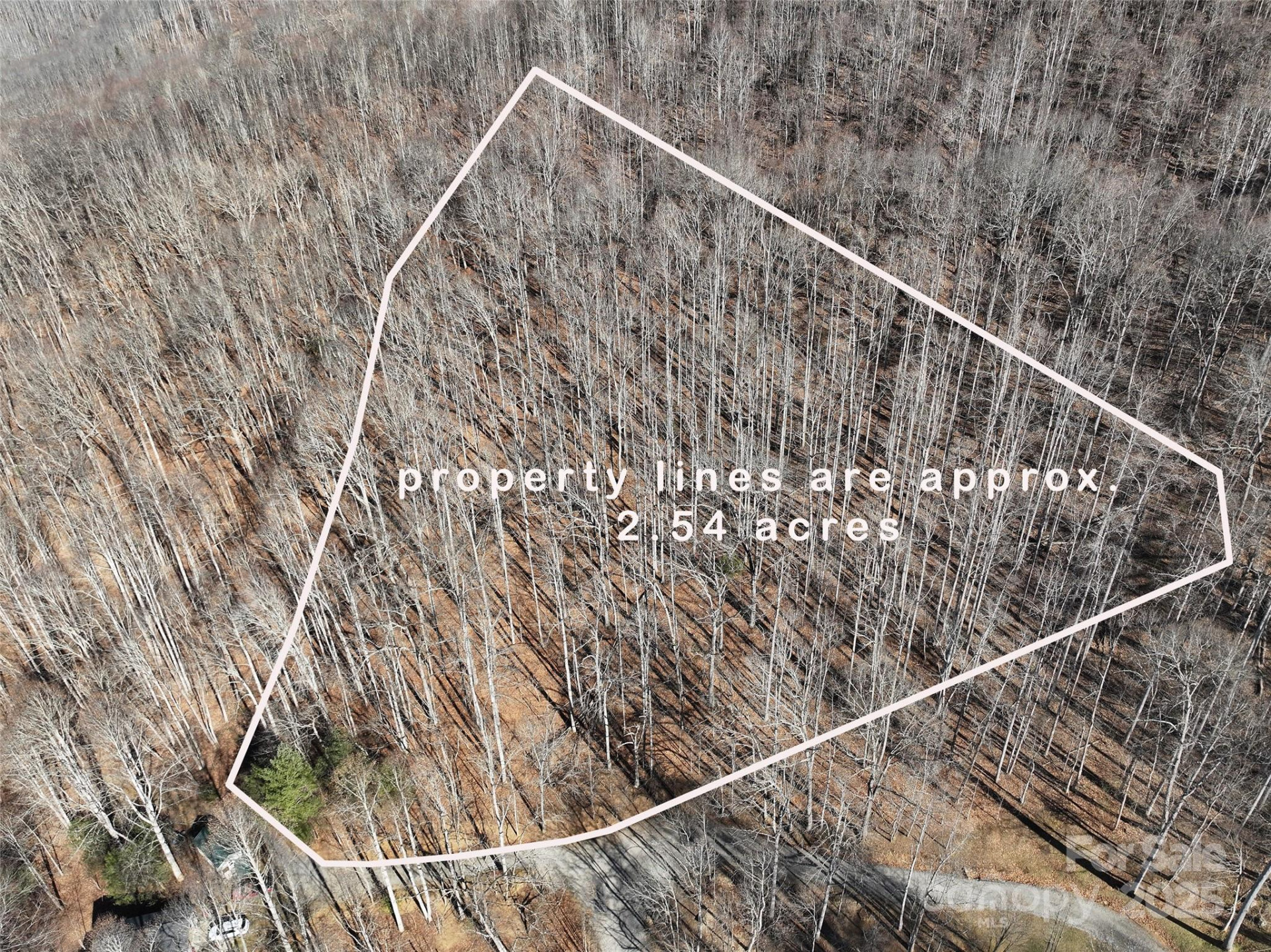 Lot 22 Top Drop Lane - Photo 3