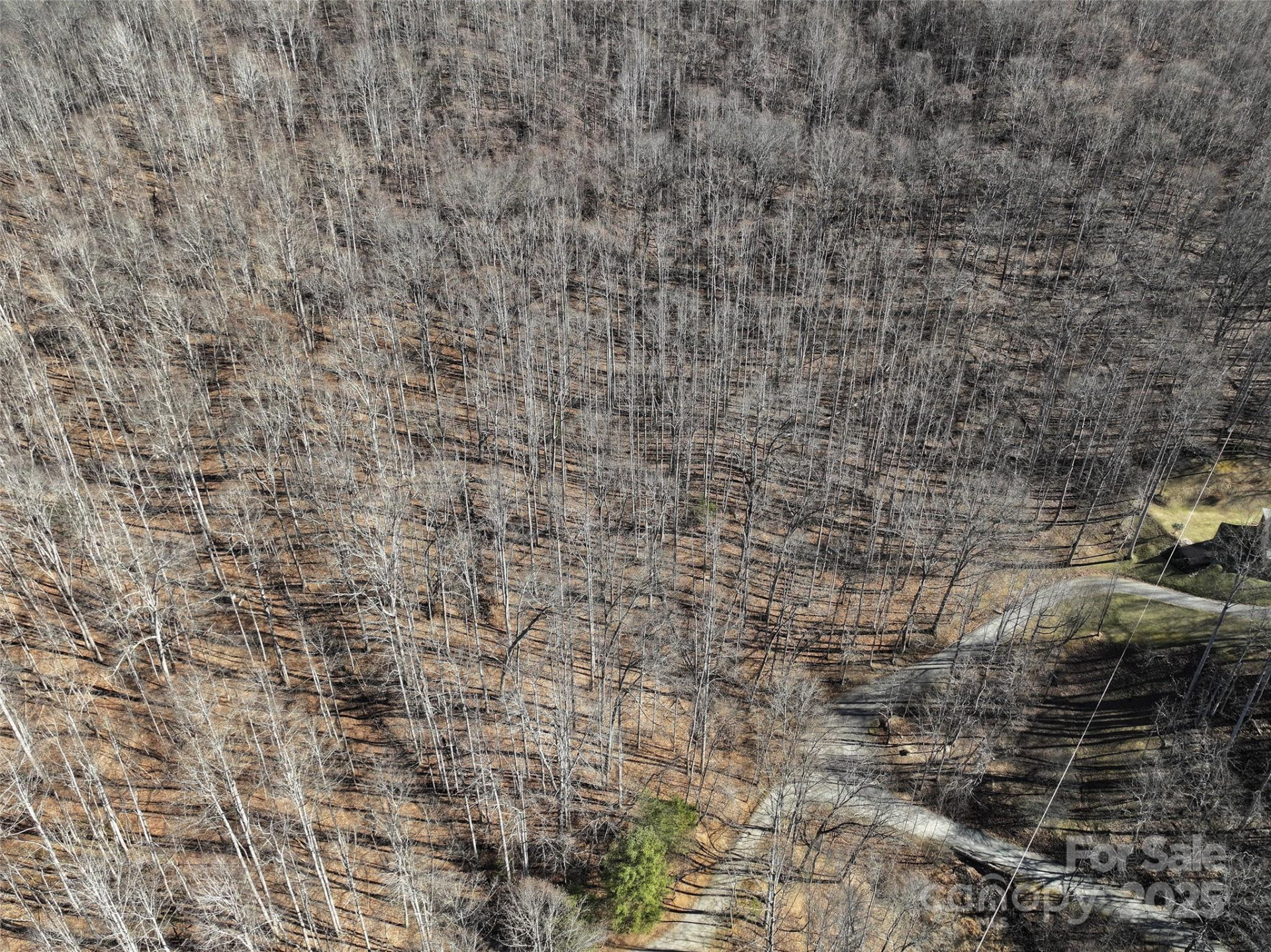 Lot 22 Top Drop Lane - Photo 4