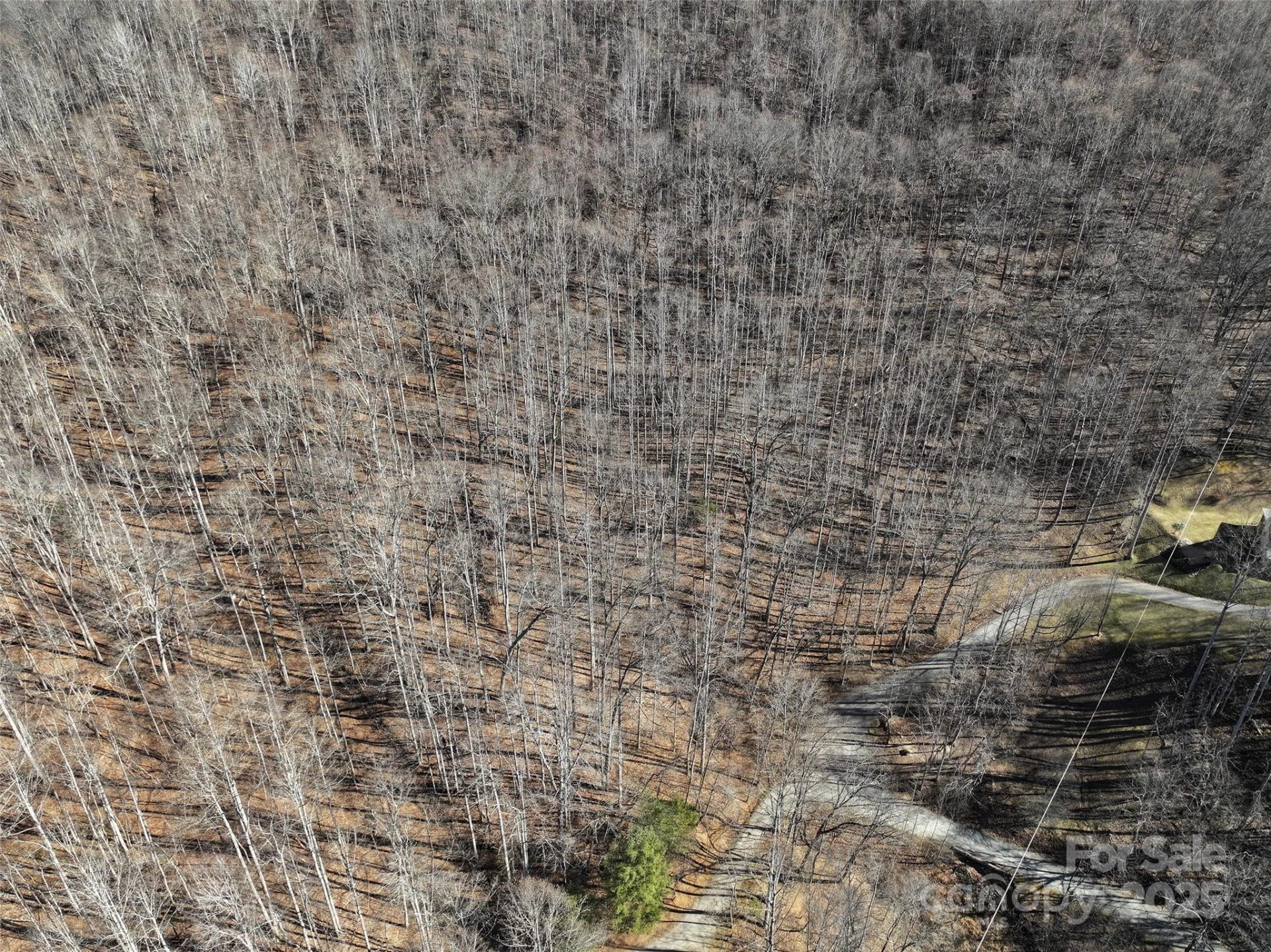 Lot 22 Top Drop Lane - Photo 4