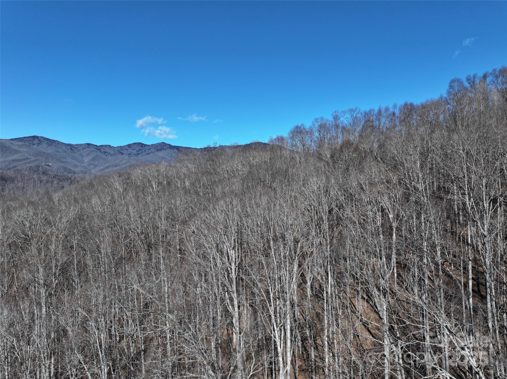 Lot 22 Top Drop Lane - Photo 5