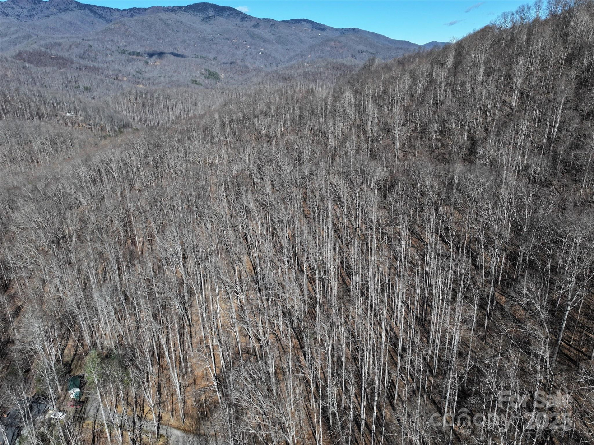 Lot 22 Top Drop Lane - Photo 6